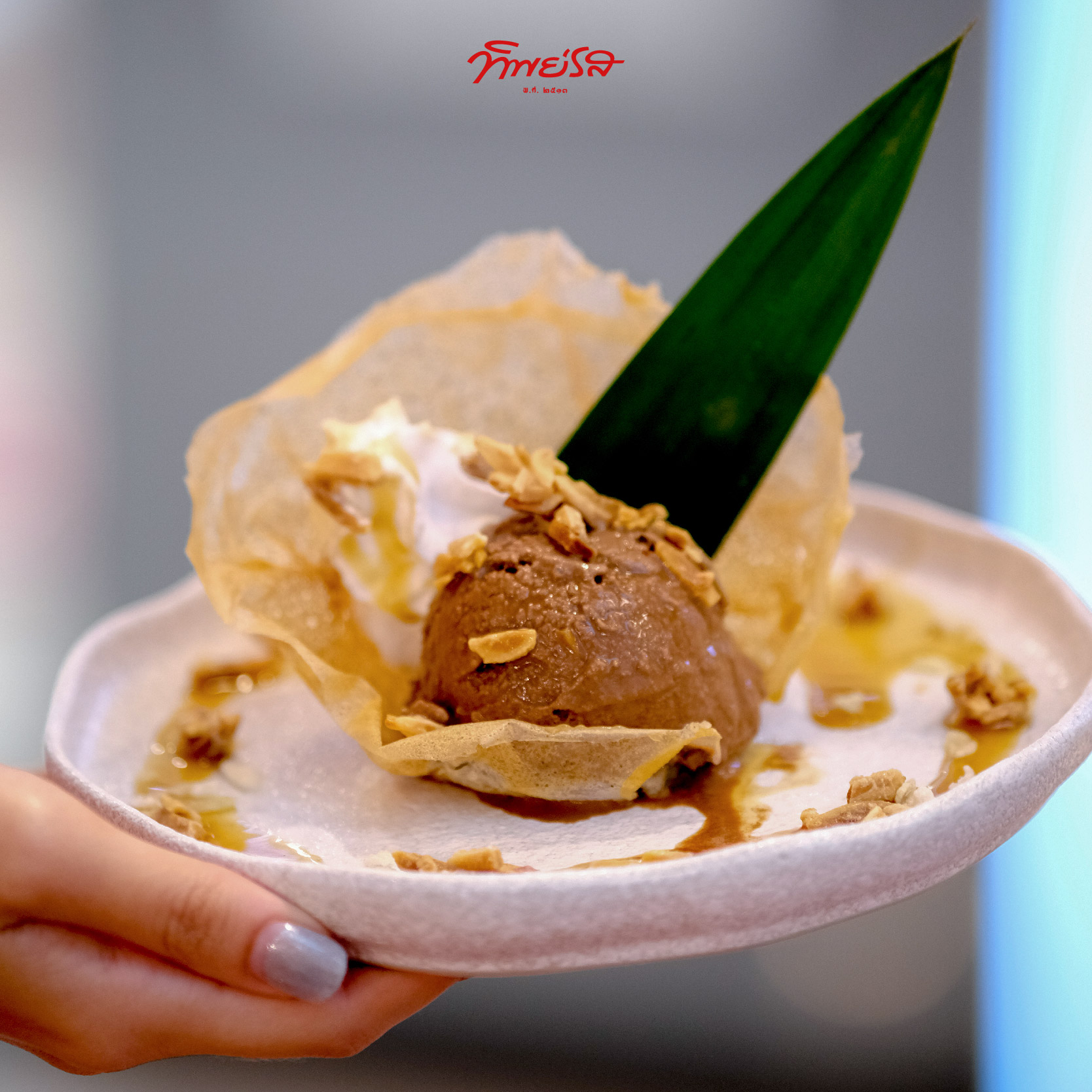 มหาชัยไอศกรีม, พัชชาไอศครีมกะทิ, หวานลิ้นไอติมทรงเครื่อง, M'scream, ฟู่ฟู่ ไอติมกะทิ, ไผ่ทองไอสครีม, ไอศกรีมทิพย์รส