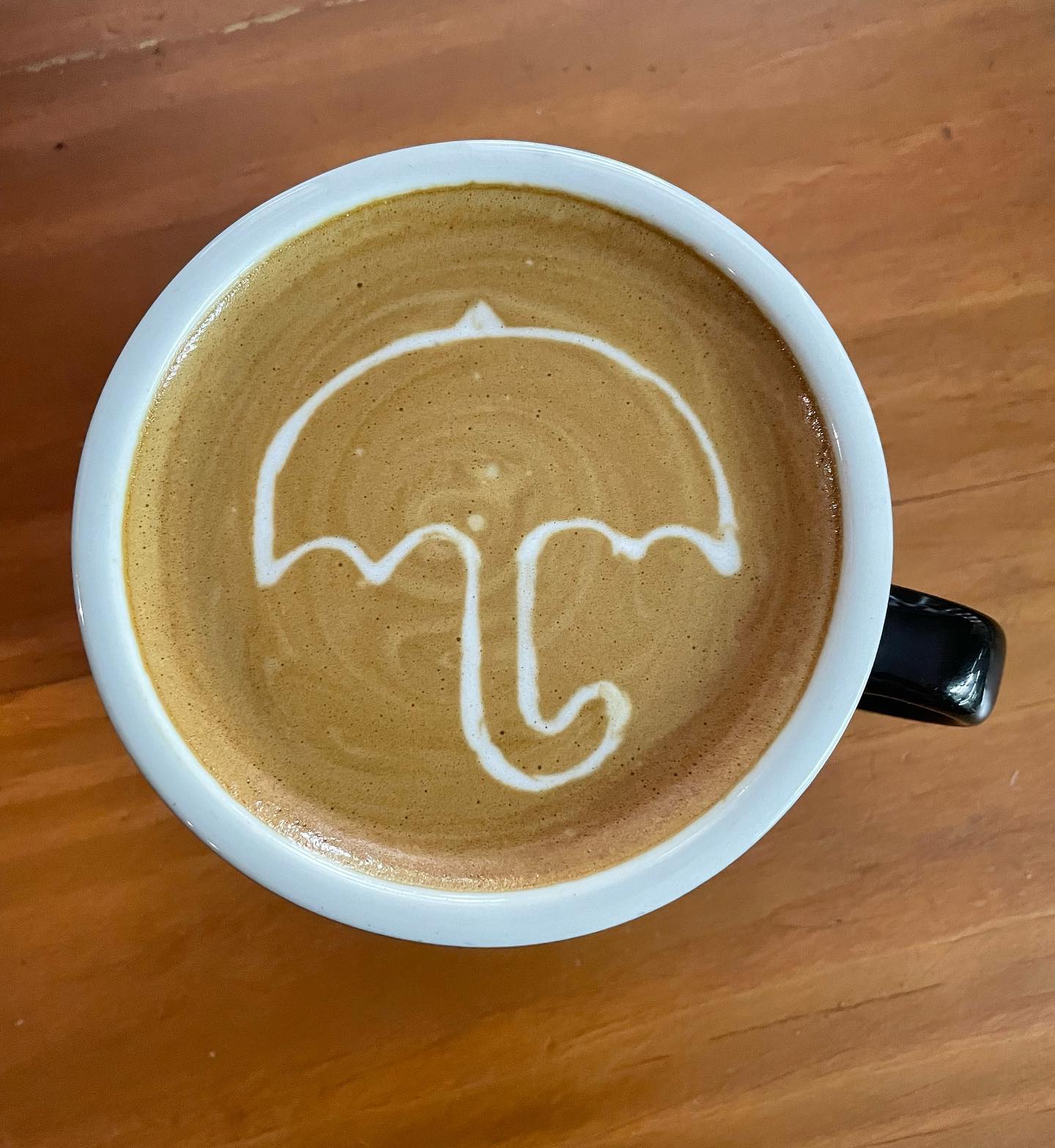 Hansacafe.food.garden, Green House Bistro, BECX, Plantnery Green Café, Langbaan cafe&amp;chill, ฉลู คาเฟ่, Mom’s Veggie Cafe, Another Home Cafe, Me Long Cafe, ร.เรือตัวอ้วน, Slot Co-Working Space, Mitte Coffee, Mita Coffee and Art, Bluebell Café, 10cc Coffee