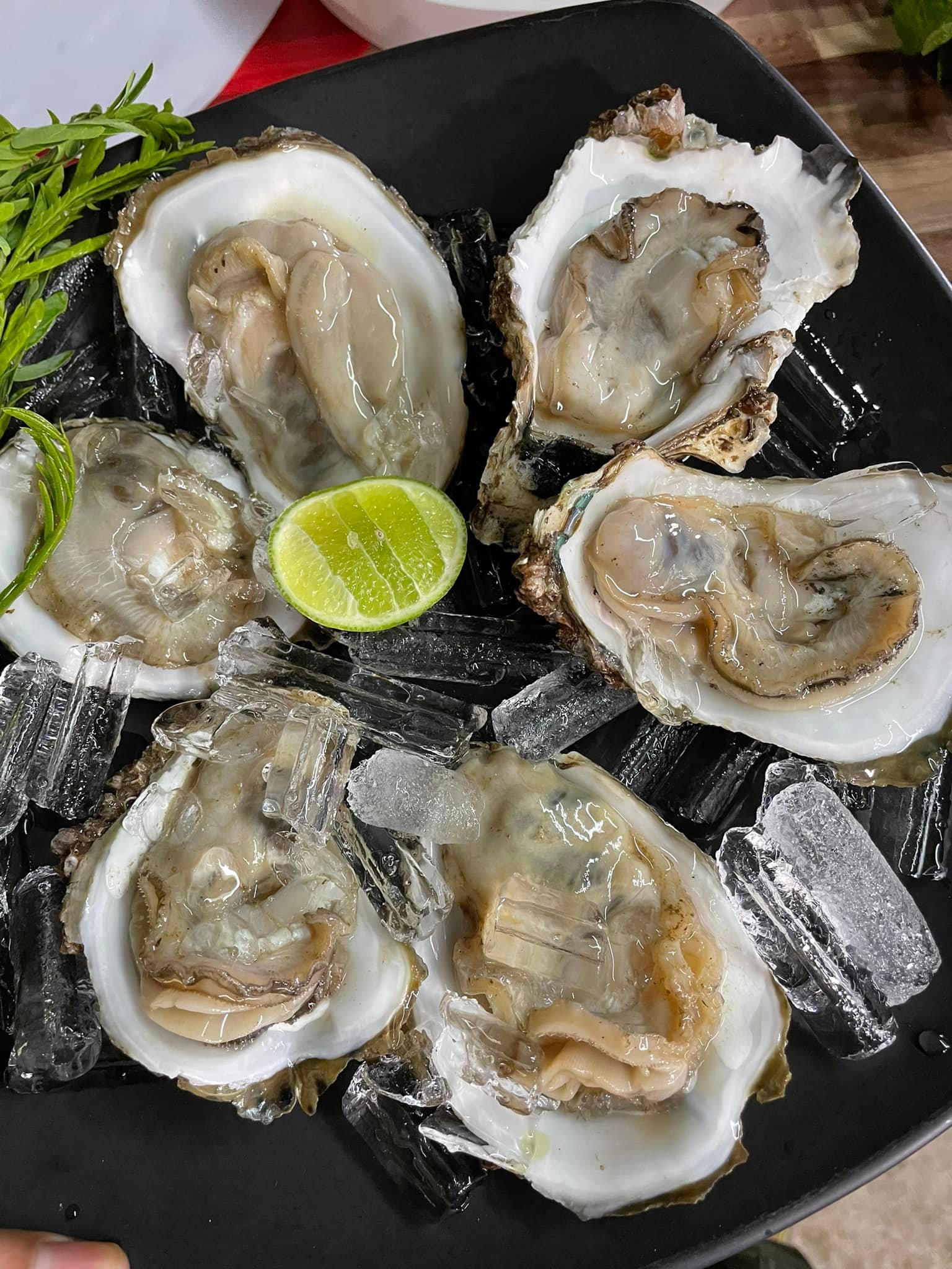 มันโภชนา, เรอดังซีฟู้ด, บ้านเขาหลักซีฟู้ด, ครัวนายอั๊ง เขาหลัก, ครัวมาดาม, เล่าลือ, ครัวผู้พัน เขาหลัก, แปะเถียร เป็ดย่าง เขาหลัก, Peter Pan, เจ๊น้อง ร้านอาหารพื้นเมืองพังงา, KhaoLak Phu View, ครัว หลวงเทน (หรอยที่สุดในเมืองมนุษย์), ครัวน้ำตา