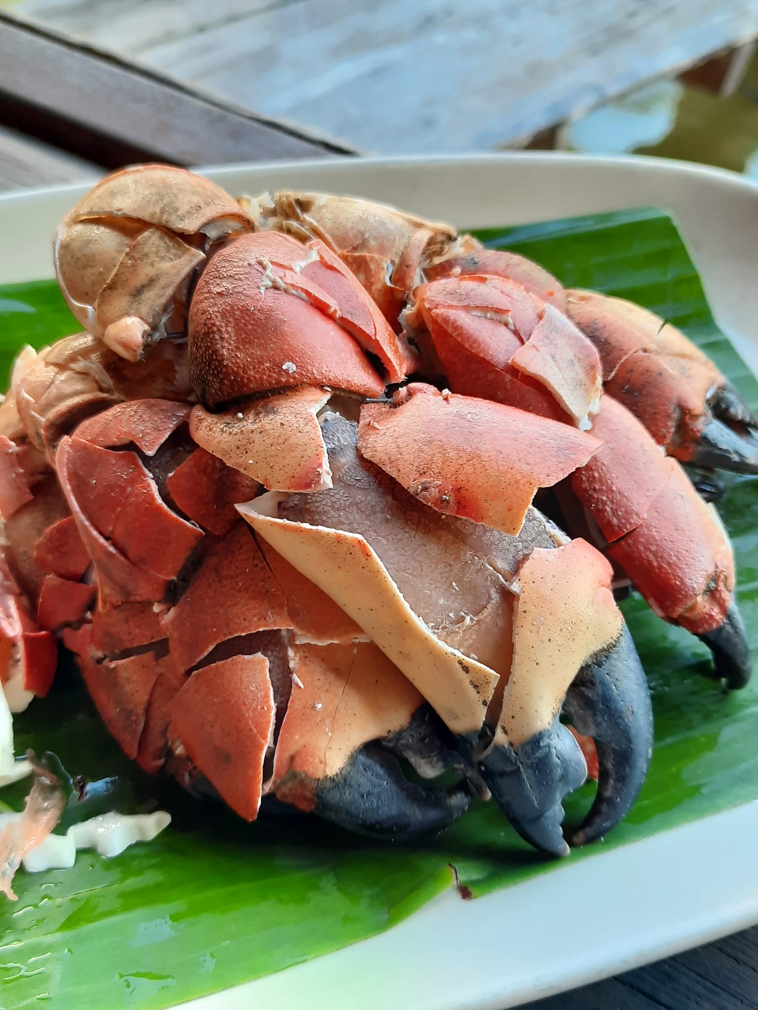 ครัวเจ๊นงค์ซีฟู๊ด, แม่ลูกจันทน์, สาขาบางตะบูน, โคตรหมู, ครัวริมเล ปูเป็น, Luckyseafood 2, ครัวไข่มุกปูเป็น, เจ๊เหมียวทะเลสด, เปลญวน เพชรบุรี, ครัวเพชรน้ำฟ้า, วิวทะเลซีฟู้ดชะอำ, ป้าหยัน, พวงเพชร, ครัวห้วยทราย, กิ่งกาญจน์, รีแล็กซ์ เพชรบุรี, เรือแลเล บางตะบูน, สวนอาหาร "ล้านอร่อย", บางตะบูนเบย์, ครัวปรียานนท์ หาดเจ้าสำราญ, สังเวียนซีฟู้ด Sungwean seafood