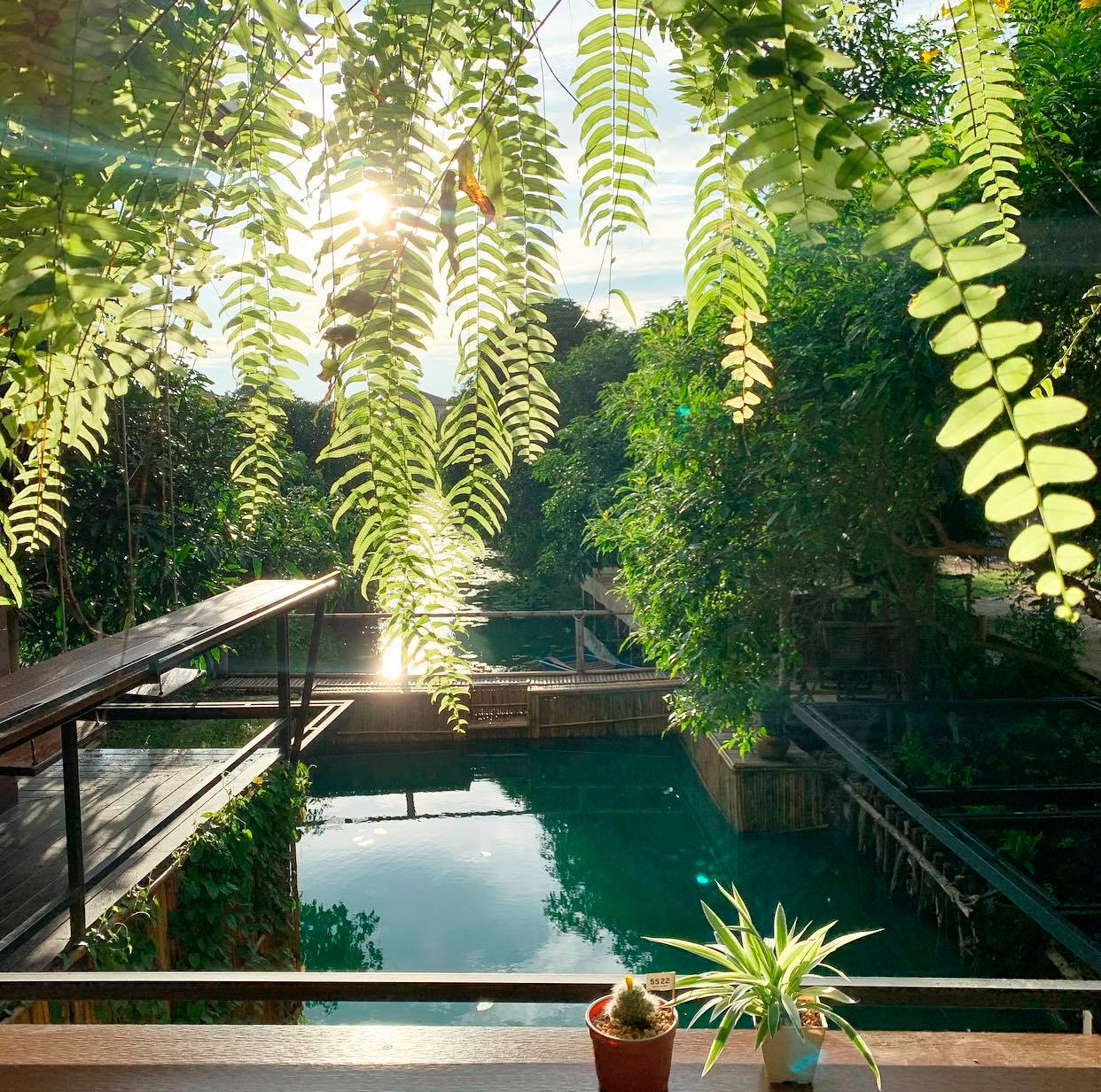 รำไร, ธรรมชาติโอชา, Rangnok Cafe&amp;Bar, บ้านท่าน้ำนนท์ Chaopraya antique Cafe, THE COUSIN, เพลิน Zaab Cafe, สายน้ำคาเฟ่ เกาะเกร็ด, สวนกู เดอะคาเฟ่, กาแฟบ้านเลขที่ ๑, 5522cafe, Rongsi Studio, คลองอ้อมคาเฟ่, คาเฟ่บ้านเฮีย