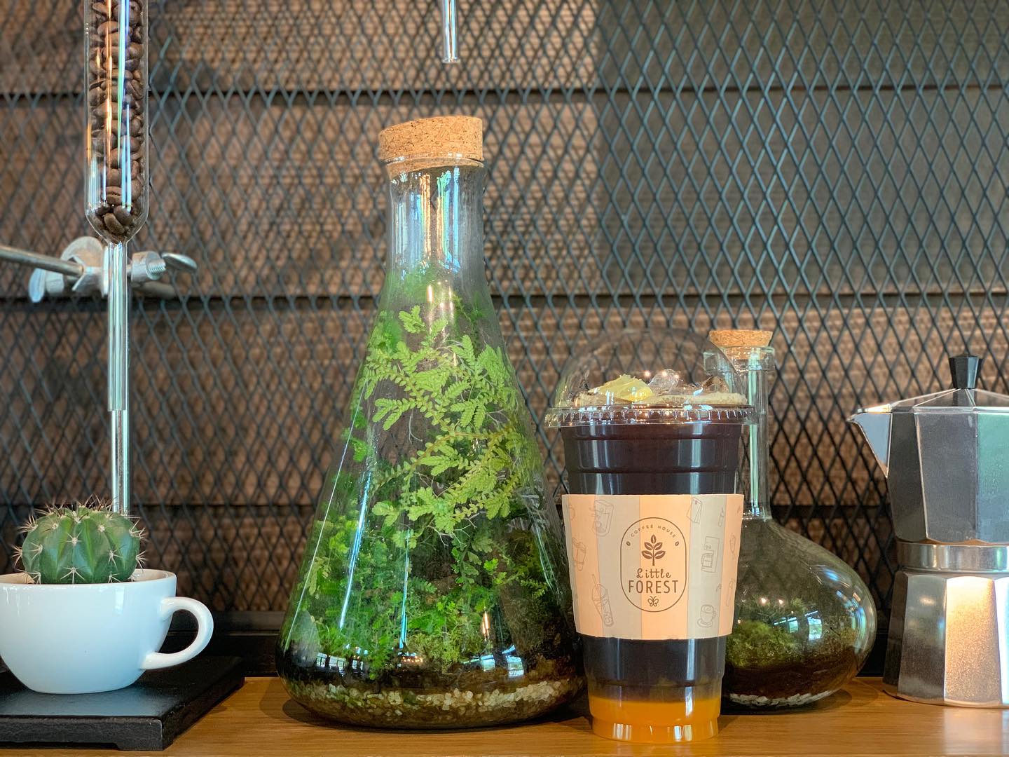 พริบพรี คาเฟ่, FOX COFF, Begiin, Coco&amp;coff, Good time Cafe', Me Cafe' Phetchaburi, Tumlay Cafe &amp; Bar, Ka-nod Café, พิเศษ กาแฟ, อากงคาเฟ่, LoveBread Thailand, SPACE TIME Cafe’ Phetchaburi, ณ โรงนา คาเฟ่