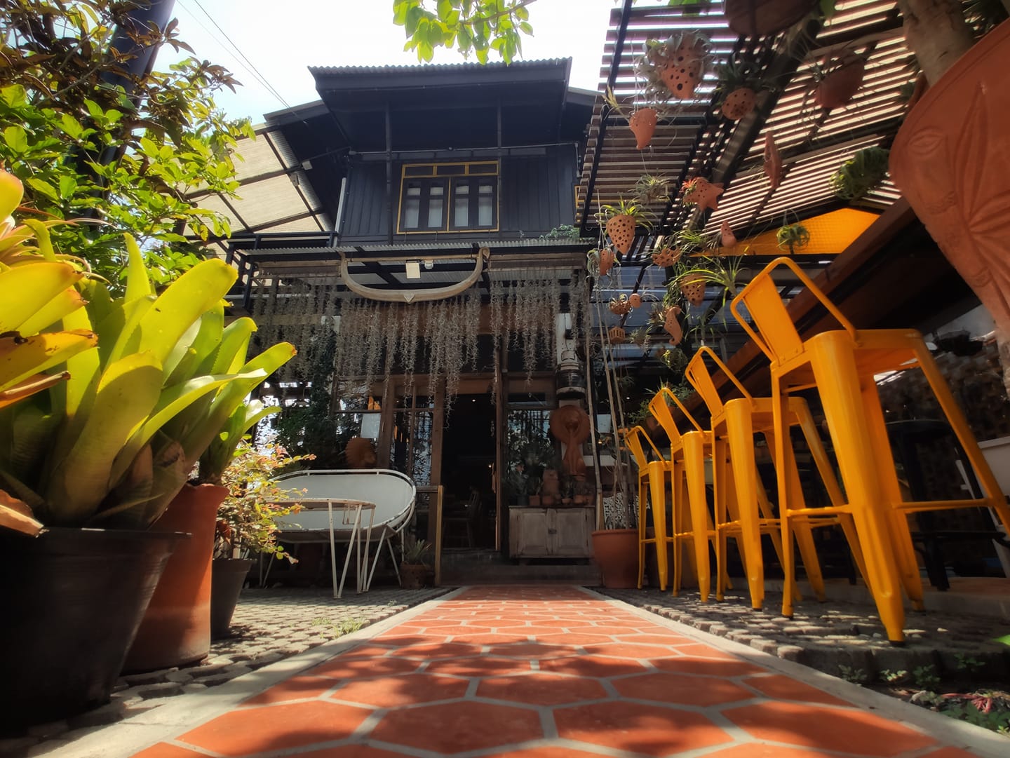 Unplan, ma na cafe', ปลาชุม : Plachum Café &amp; Bistro, Nava House Café - นาวา เฮ้าส์ คาเฟ่, Coffee 123, FarmVille Chachoengsao, บ้านพระจันทร์เวียน, กรีนวิลล์ ผักสลัดเสิร์ฟจากฟาร์ม , D•presso cafe, Baan Melon Desert, Red Cat Cafe ตลาดบ้านใหม่, Lifehouse Cafe &amp; Kitchen, T13 Café