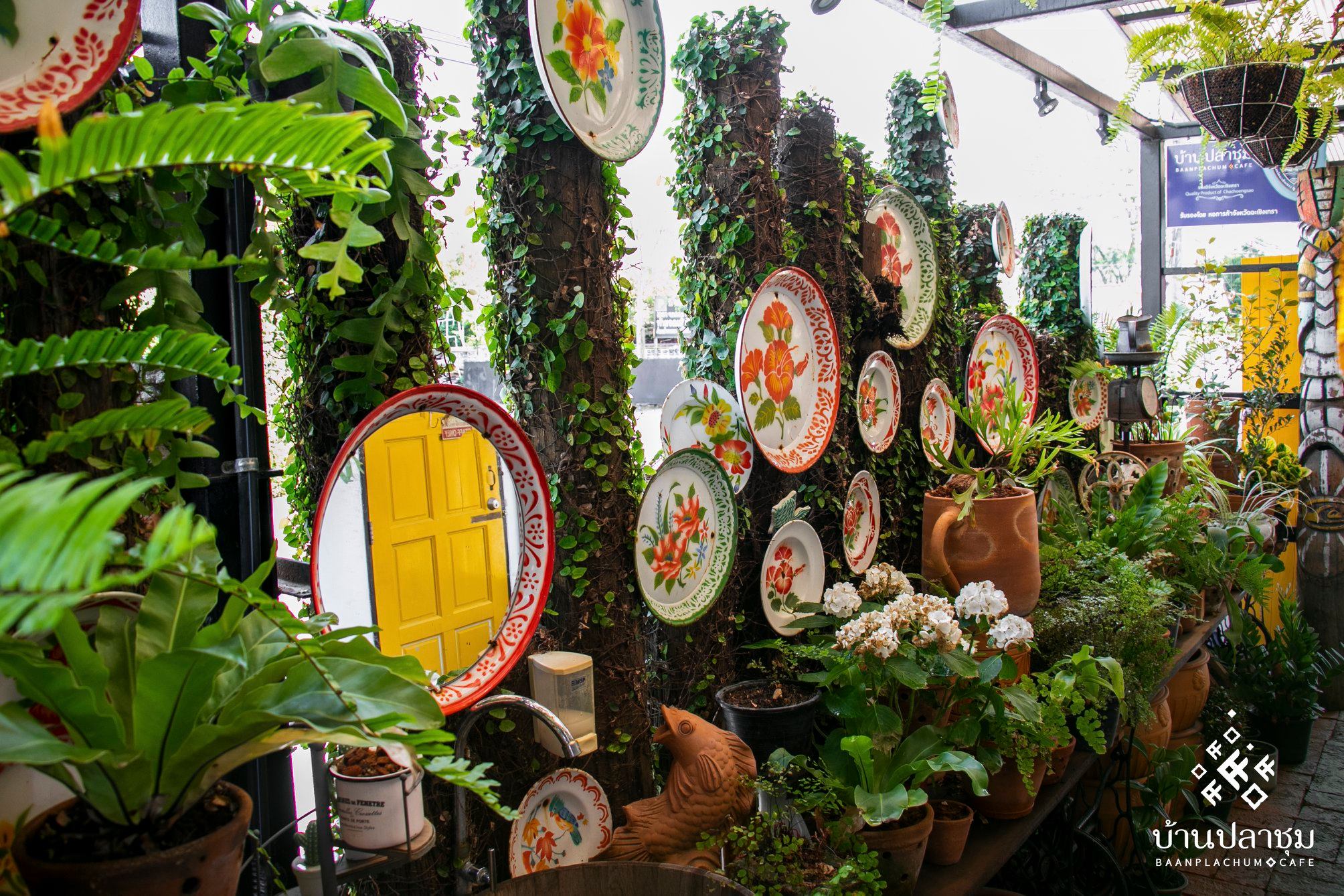 Unplan, ma na cafe', ปลาชุม : Plachum Café &amp; Bistro, Nava House Café - นาวา เฮ้าส์ คาเฟ่, Coffee 123, FarmVille Chachoengsao, บ้านพระจันทร์เวียน, กรีนวิลล์ ผักสลัดเสิร์ฟจากฟาร์ม , D•presso cafe, Baan Melon Desert, Red Cat Cafe ตลาดบ้านใหม่, Lifehouse Cafe &amp; Kitchen, T13 Café