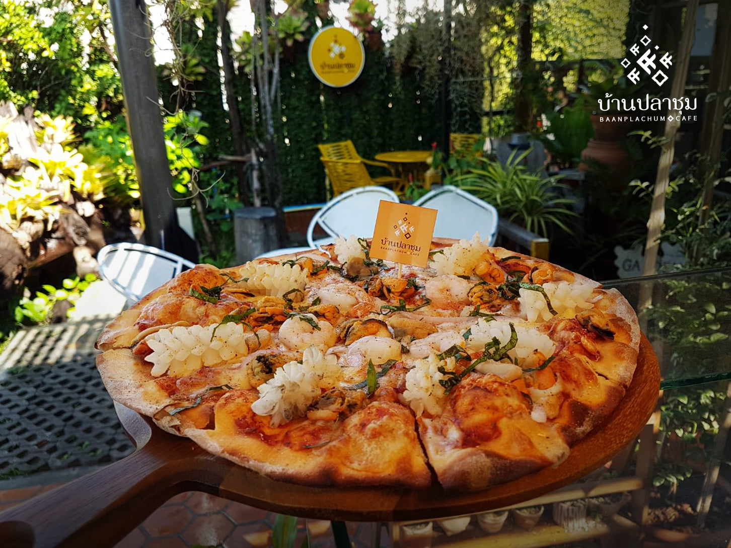 Unplan, ma na cafe', ปลาชุม : Plachum Café &amp; Bistro, Nava House Café - นาวา เฮ้าส์ คาเฟ่, Coffee 123, FarmVille Chachoengsao, บ้านพระจันทร์เวียน, กรีนวิลล์ ผักสลัดเสิร์ฟจากฟาร์ม , D•presso cafe, Baan Melon Desert, Red Cat Cafe ตลาดบ้านใหม่, Lifehouse Cafe &amp; Kitchen, T13 Café