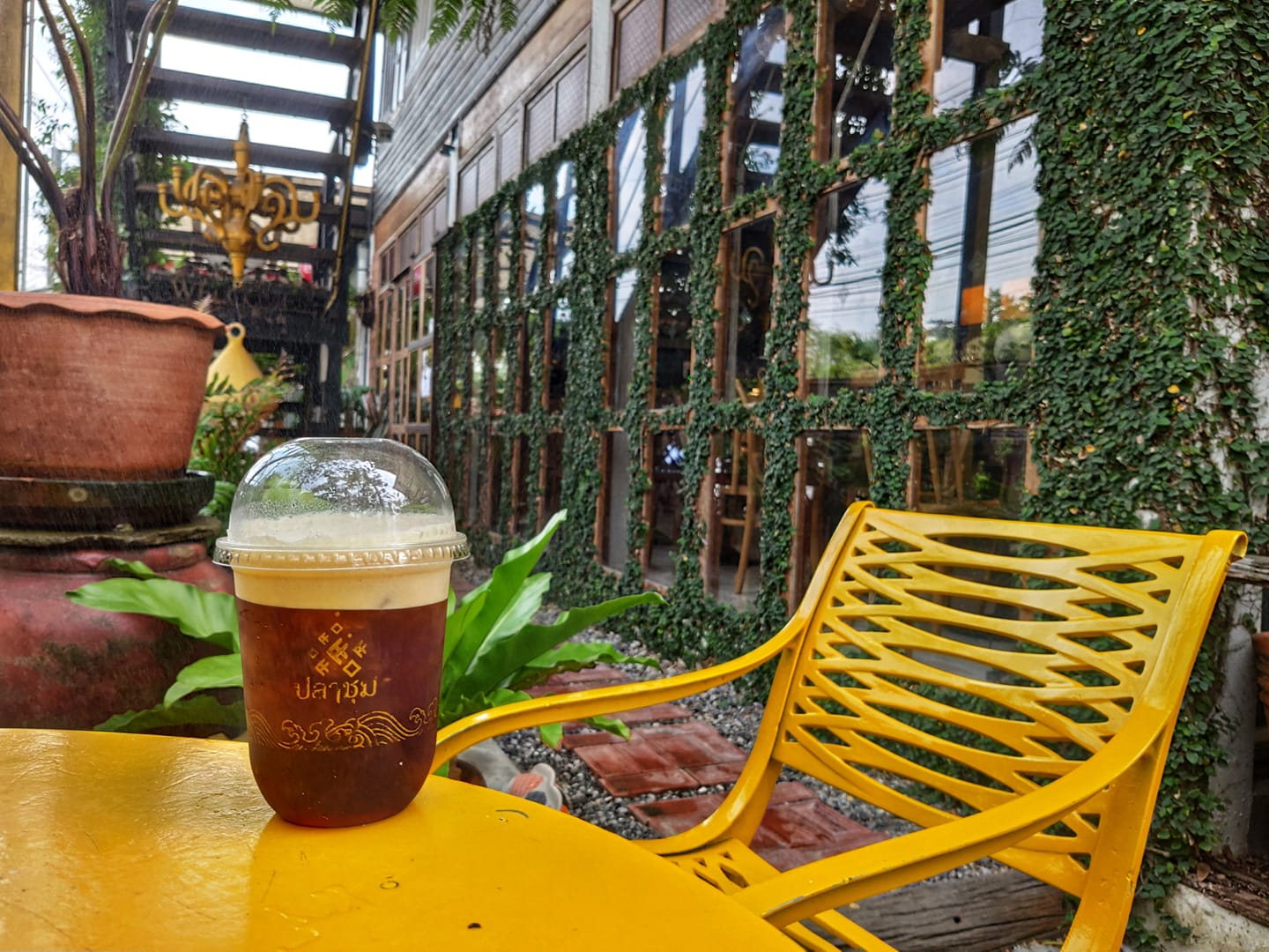 Unplan, ma na cafe', ปลาชุม : Plachum Café &amp; Bistro, Nava House Café - นาวา เฮ้าส์ คาเฟ่, Coffee 123, FarmVille Chachoengsao, บ้านพระจันทร์เวียน, กรีนวิลล์ ผักสลัดเสิร์ฟจากฟาร์ม , D•presso cafe, Baan Melon Desert, Red Cat Cafe ตลาดบ้านใหม่, Lifehouse Cafe &amp; Kitchen, T13 Café