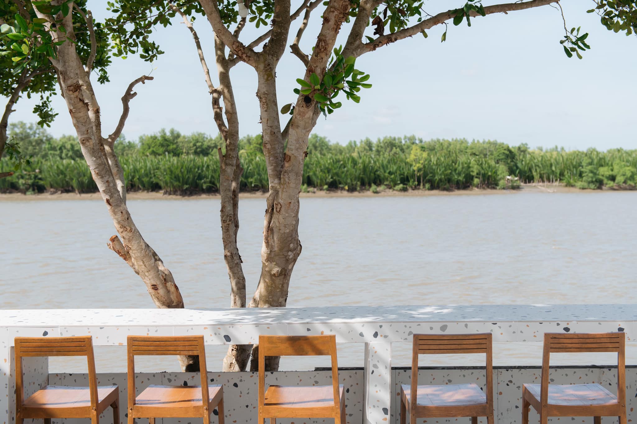 Unplan, ma na cafe', ปลาชุม : Plachum Café &amp; Bistro, Nava House Café - นาวา เฮ้าส์ คาเฟ่, Coffee 123, FarmVille Chachoengsao, บ้านพระจันทร์เวียน, กรีนวิลล์ ผักสลัดเสิร์ฟจากฟาร์ม , D•presso cafe, Baan Melon Desert, Red Cat Cafe ตลาดบ้านใหม่, Lifehouse Cafe &amp; Kitchen, T13 Café