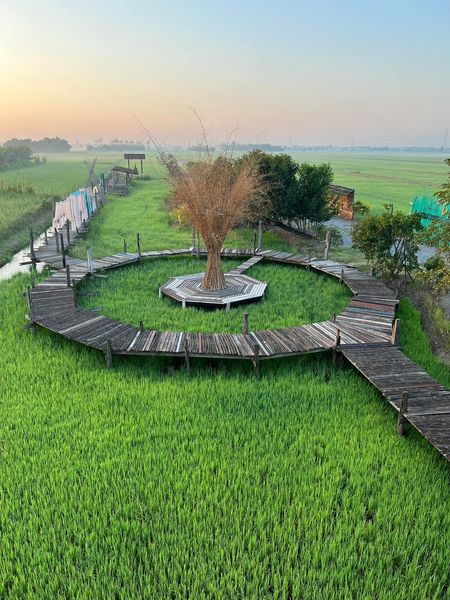 Unplan, ma na cafe', ปลาชุม : Plachum Café &amp; Bistro, Nava House Café - นาวา เฮ้าส์ คาเฟ่, Coffee 123, FarmVille Chachoengsao, บ้านพระจันทร์เวียน, กรีนวิลล์ ผักสลัดเสิร์ฟจากฟาร์ม , D•presso cafe, Baan Melon Desert, Red Cat Cafe ตลาดบ้านใหม่, Lifehouse Cafe &amp; Kitchen, T13 Café