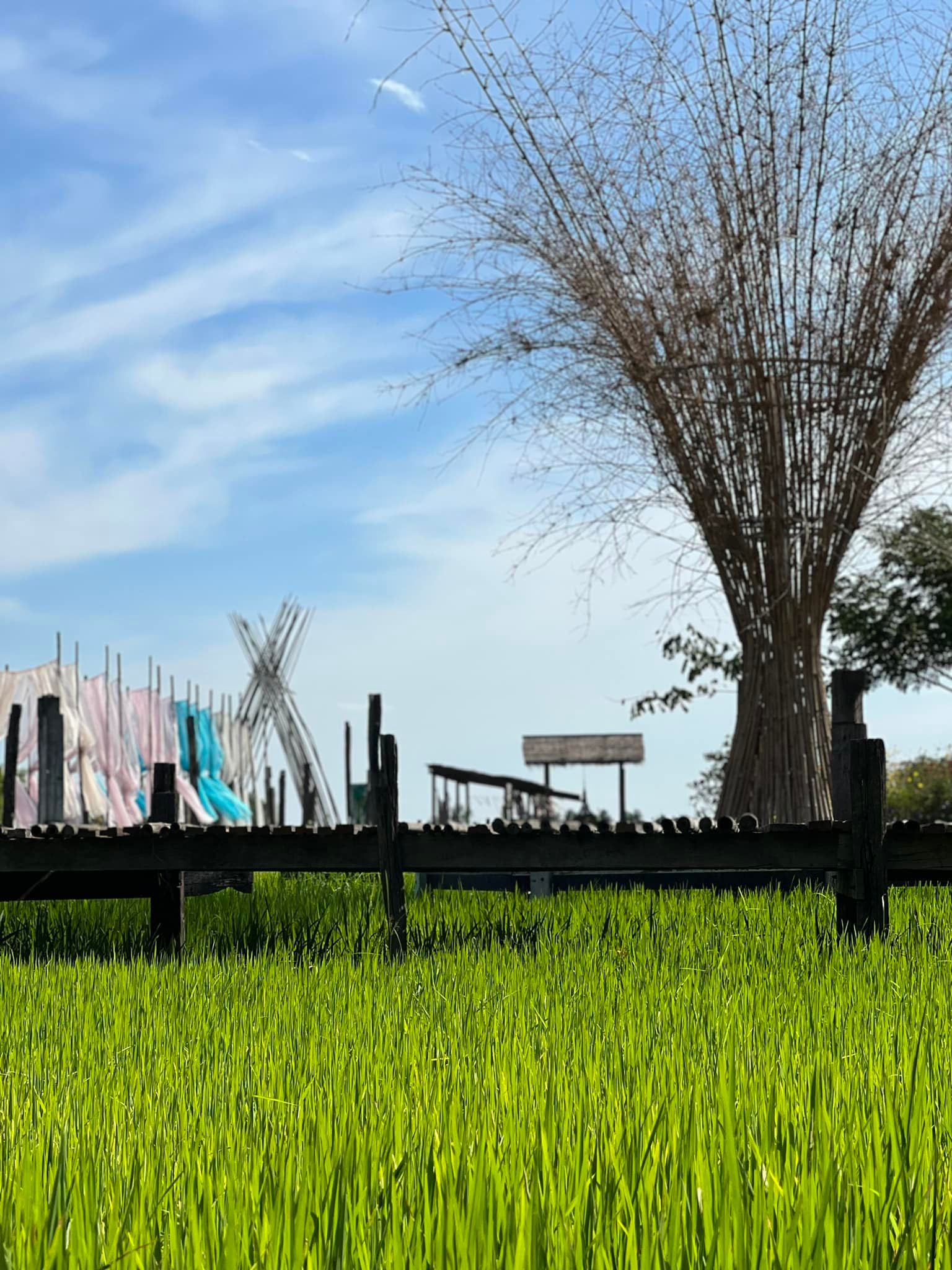 Unplan, ma na cafe', ปลาชุม : Plachum Café &amp; Bistro, Nava House Café - นาวา เฮ้าส์ คาเฟ่, Coffee 123, FarmVille Chachoengsao, บ้านพระจันทร์เวียน, กรีนวิลล์ ผักสลัดเสิร์ฟจากฟาร์ม , D•presso cafe, Baan Melon Desert, Red Cat Cafe ตลาดบ้านใหม่, Lifehouse Cafe &amp; Kitchen, T13 Café