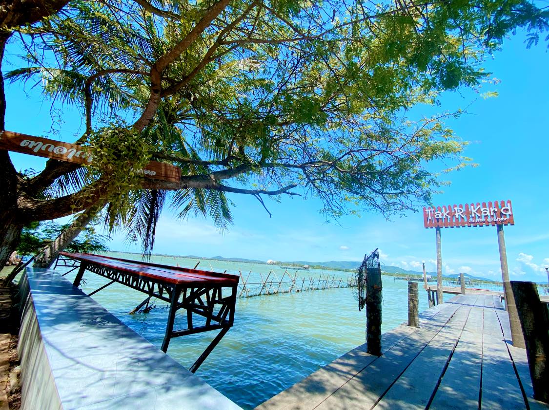 TreeHouse Cafe, Sunshine Blend Home Cafe, Sandtoni, The Stand Brew•Bake , Virung Coffee &amp; Bar, ตากอากาศ, โกงกางคาเฟ่, Studio 55 Cafe