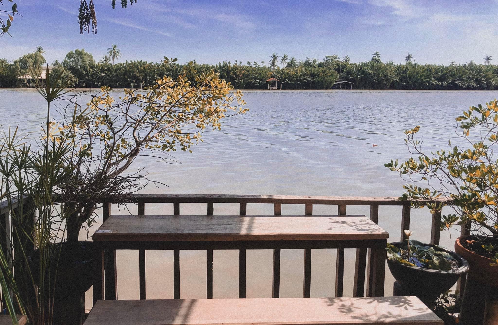 Unplan, ma na cafe', ปลาชุม : Plachum Café &amp; Bistro, Nava House Café - นาวา เฮ้าส์ คาเฟ่, Coffee 123, FarmVille Chachoengsao, บ้านพระจันทร์เวียน, กรีนวิลล์ ผักสลัดเสิร์ฟจากฟาร์ม , D•presso cafe, Baan Melon Desert, Red Cat Cafe ตลาดบ้านใหม่, Lifehouse Cafe &amp; Kitchen, T13 Café