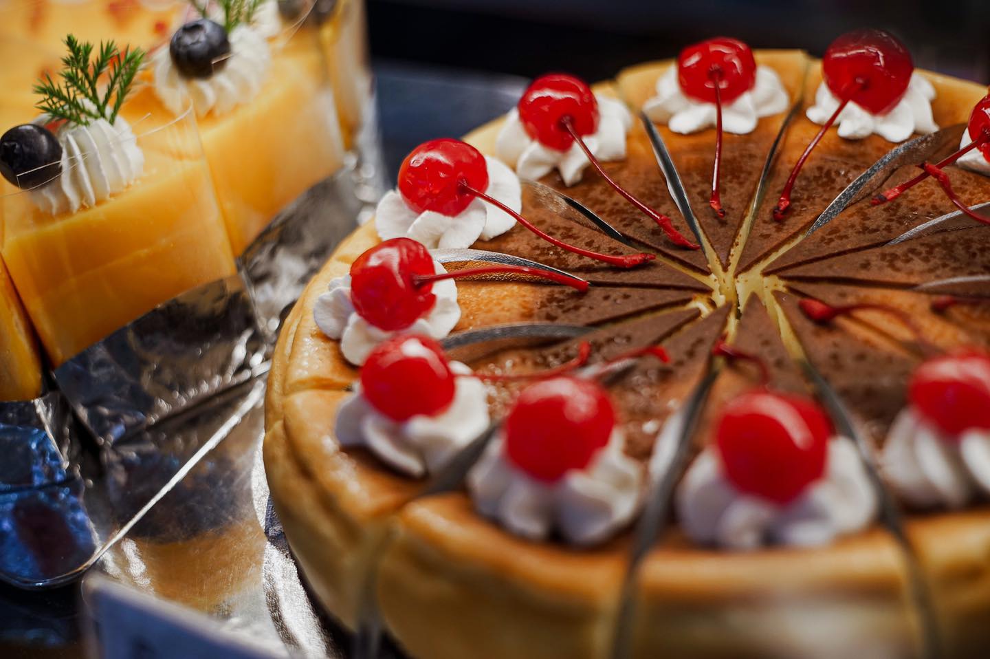 TreeHouse Cafe, Sunshine Blend Home Cafe, Sandtoni, The Stand Brew•Bake , Virung Coffee &amp; Bar, ตากอากาศ, โกงกางคาเฟ่, Studio 55 Cafe