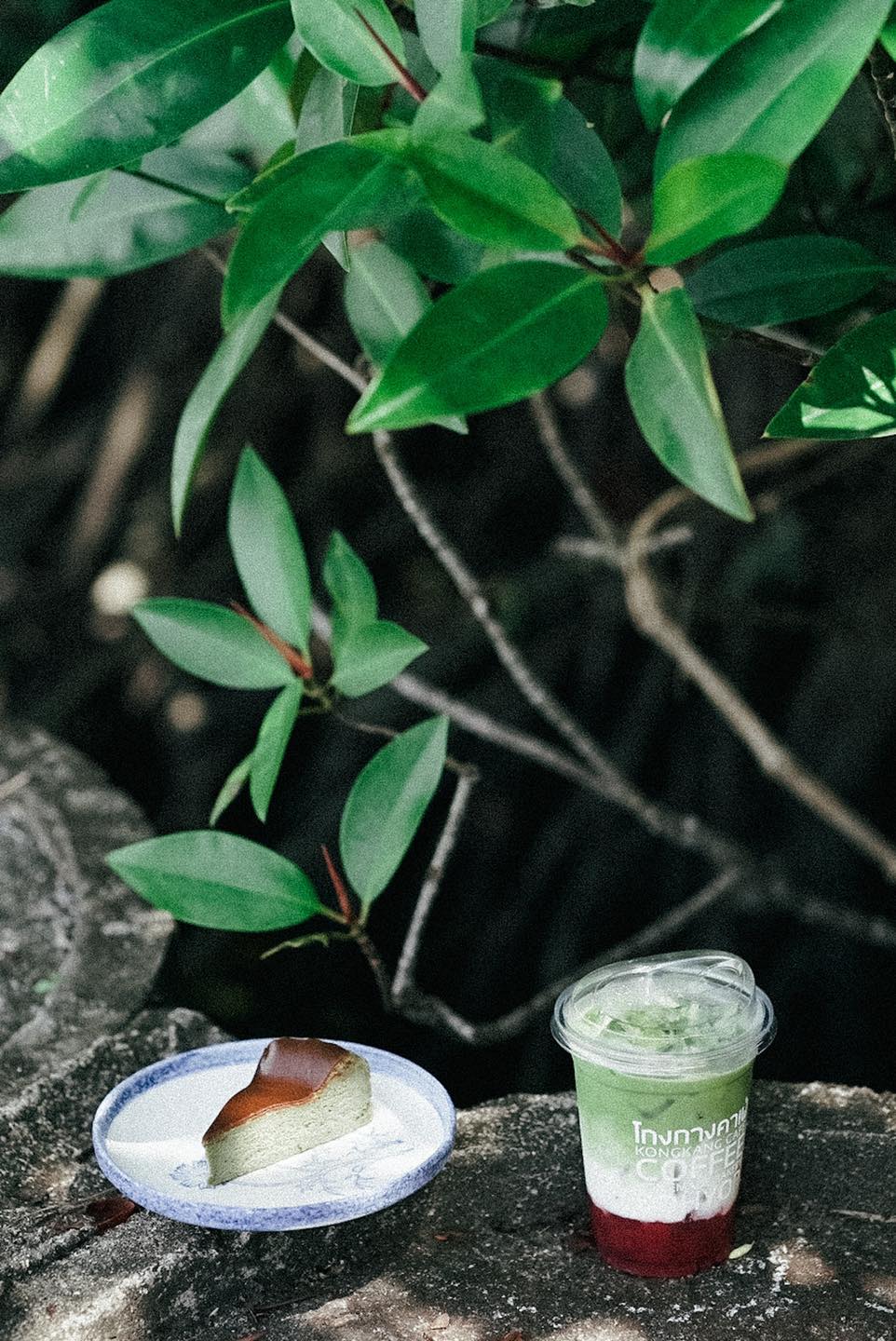 TreeHouse Cafe, Sunshine Blend Home Cafe, Sandtoni, The Stand Brew•Bake , Virung Coffee &amp; Bar, ตากอากาศ, โกงกางคาเฟ่, Studio 55 Cafe