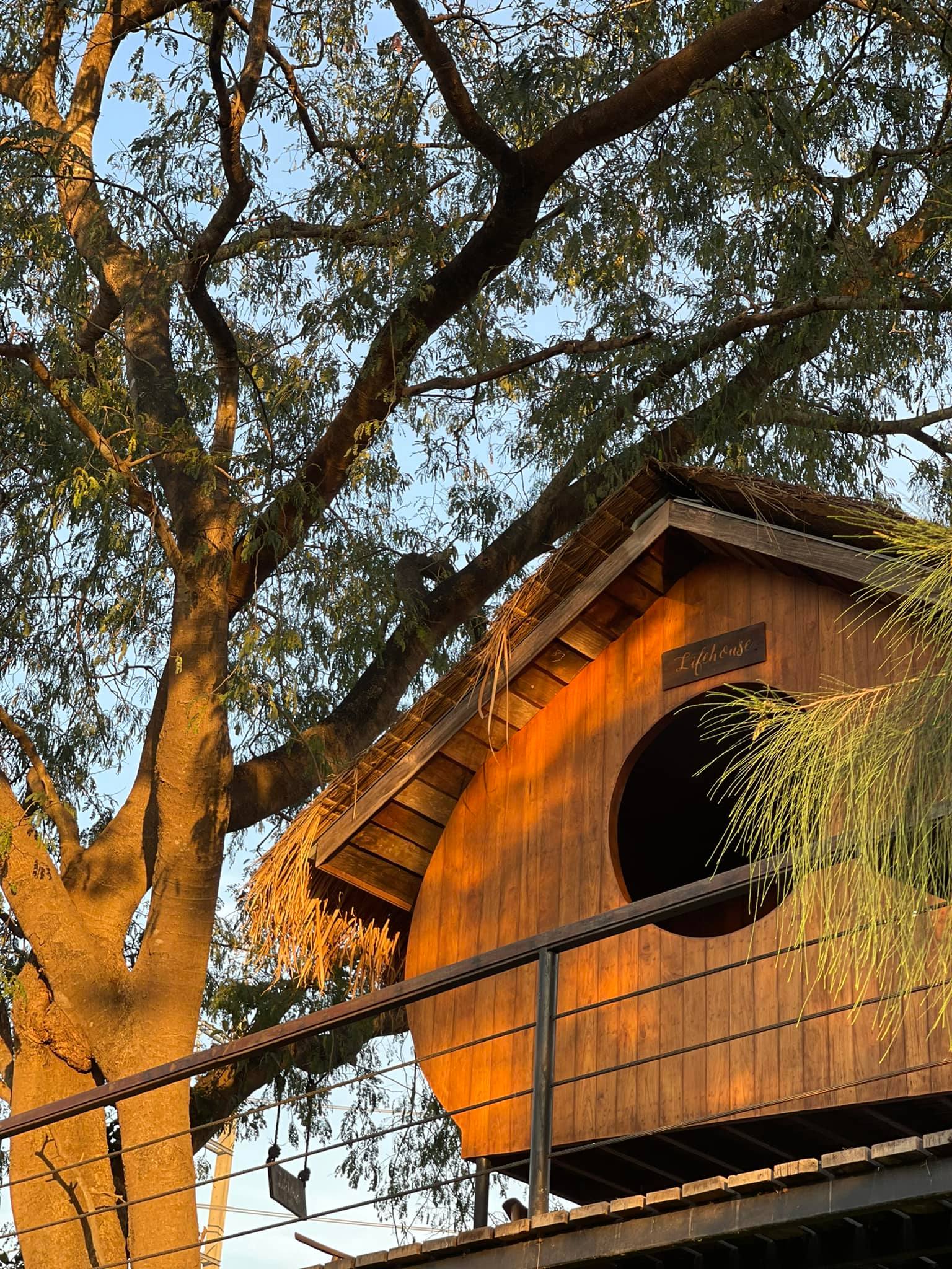 Unplan, ma na cafe', ปลาชุม : Plachum Café &amp; Bistro, Nava House Café - นาวา เฮ้าส์ คาเฟ่, Coffee 123, FarmVille Chachoengsao, บ้านพระจันทร์เวียน, กรีนวิลล์ ผักสลัดเสิร์ฟจากฟาร์ม , D•presso cafe, Baan Melon Desert, Red Cat Cafe ตลาดบ้านใหม่, Lifehouse Cafe &amp; Kitchen, T13 Café