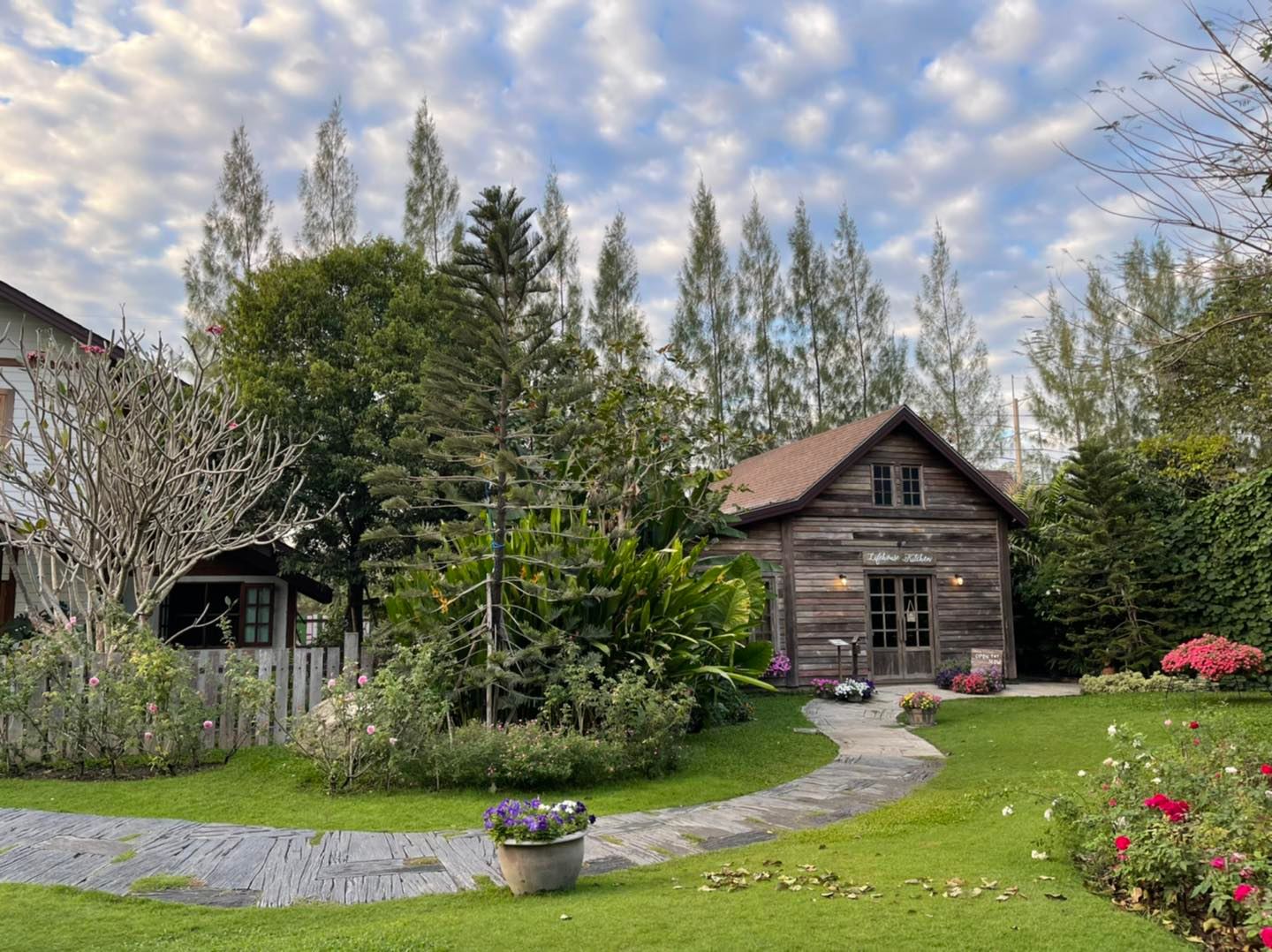 Unplan, ma na cafe', ปลาชุม : Plachum Café &amp; Bistro, Nava House Café - นาวา เฮ้าส์ คาเฟ่, Coffee 123, FarmVille Chachoengsao, บ้านพระจันทร์เวียน, กรีนวิลล์ ผักสลัดเสิร์ฟจากฟาร์ม , D•presso cafe, Baan Melon Desert, Red Cat Cafe ตลาดบ้านใหม่, Lifehouse Cafe &amp; Kitchen, T13 Café