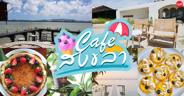 TreeHouse Cafe, Sunshine Blend Home Cafe, Sandtoni, The Stand Brew•Bake , Virung Coffee &amp; Bar, ตากอากาศ, โกงกางคาเฟ่, Studio 55 Cafe