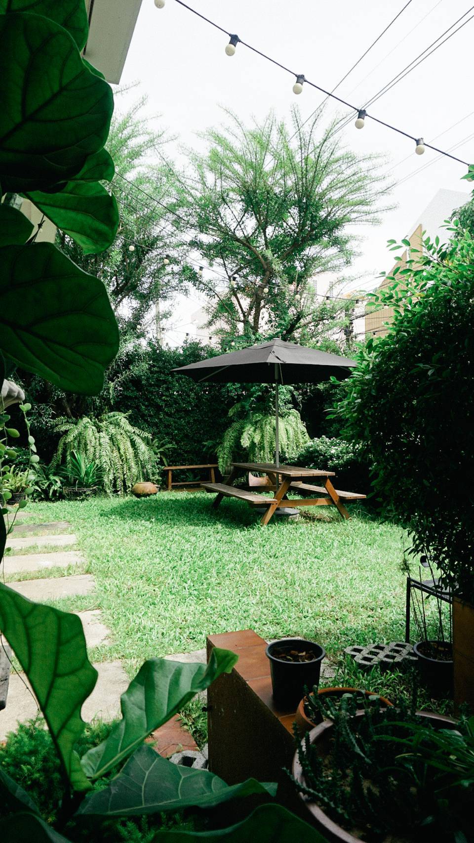 Curious Cafe, Good Thingz Happen, Maven Mesh, Orso Polare, The Work Loft, Hwantsu Creative Cafe, คุ้น•เคย Eatery, Cafe &amp; Bar, The Open Door Green, Blanc Eatery &amp; Cafe, Keiken Coffee สาขาราชพฤกษ์