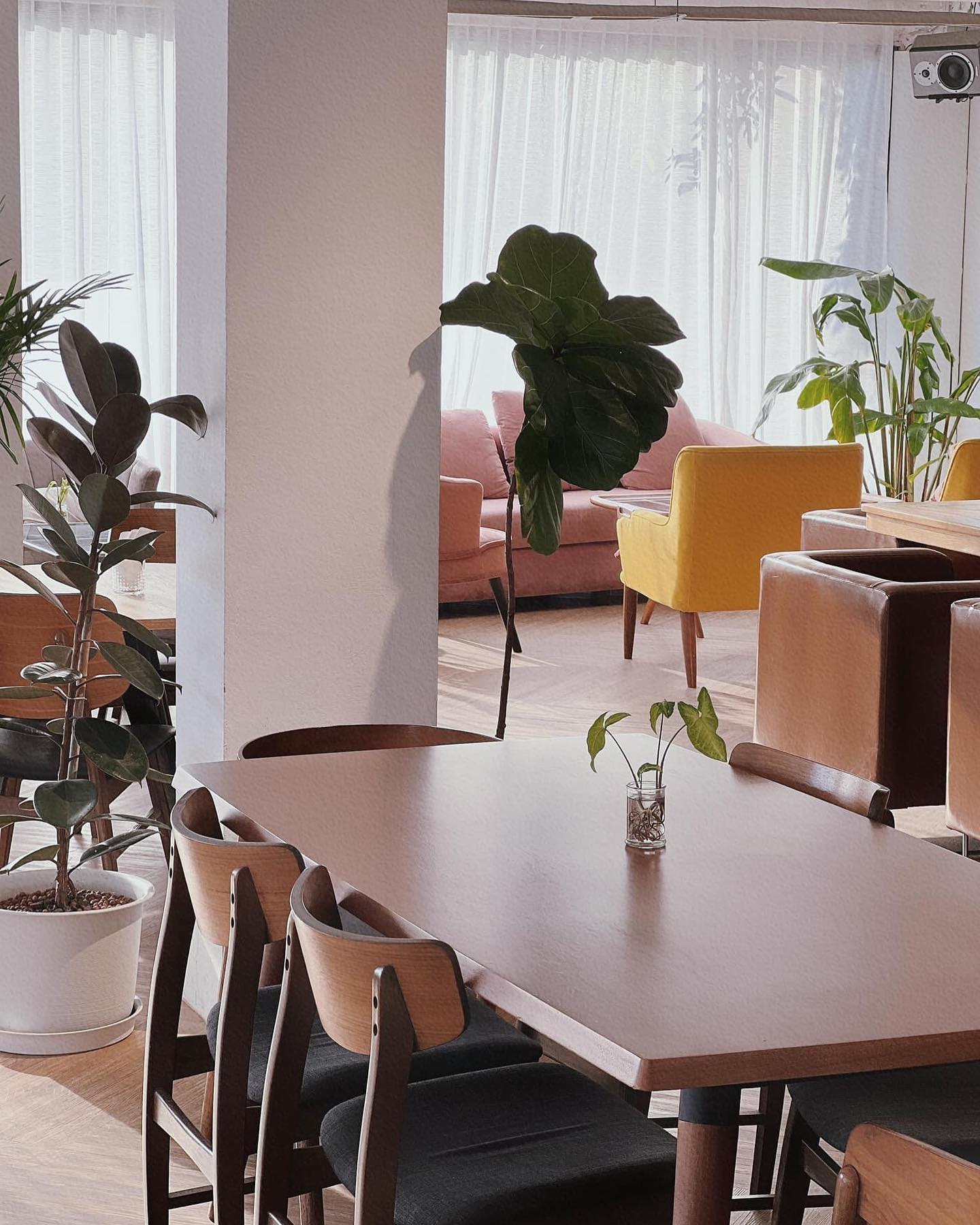 Curious Cafe, Good Thingz Happen, Maven Mesh, Orso Polare, The Work Loft, Hwantsu Creative Cafe, คุ้น•เคย Eatery, Cafe &amp; Bar, The Open Door Green, Blanc Eatery &amp; Cafe, Keiken Coffee สาขาราชพฤกษ์