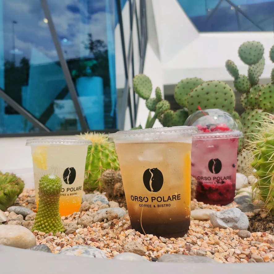 Curious Cafe, Good Thingz Happen, Maven Mesh, Orso Polare, The Work Loft, Hwantsu Creative Cafe, คุ้น•เคย Eatery, Cafe &amp; Bar, The Open Door Green, Blanc Eatery &amp; Cafe, Keiken Coffee สาขาราชพฤกษ์