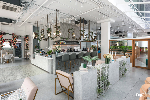 Curious Cafe, Good Thingz Happen, Maven Mesh, Orso Polare, The Work Loft, Hwantsu Creative Cafe, คุ้น•เคย Eatery, Cafe &amp; Bar, The Open Door Green, Blanc Eatery &amp; Cafe, Keiken Coffee สาขาราชพฤกษ์