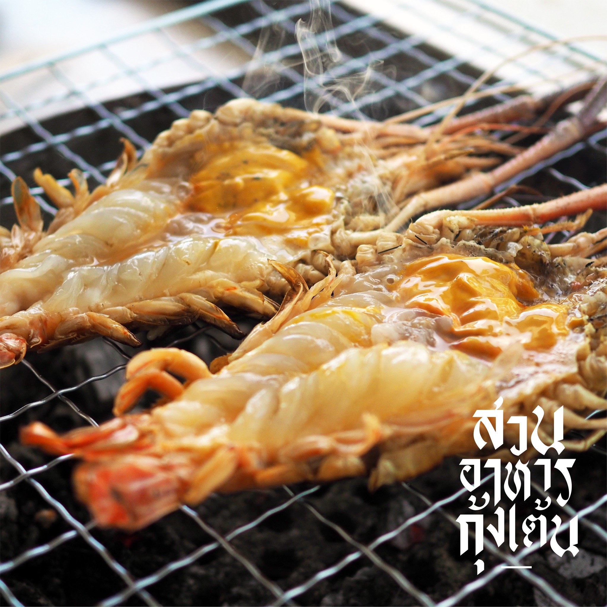 ครัวจำแลง แปลงกาย, Kojiro Japanese Cuisine, ฮองมิน ภัตตาคารจีน, Chom Arun, The Yard Restaurant, Laychale, DE VIVA, Sheep Village, กุ้งเต้น, อรรถรส, กินลมชมสะพาน, บ้านน้ำเคียงดิน, 1 of a kind, คาวหวาน Noodle&amp;cafe