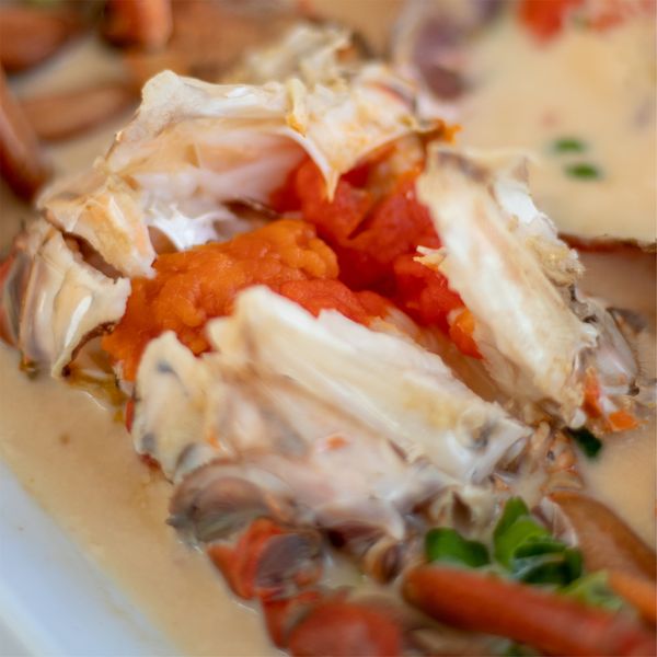 ครัวจำแลง แปลงกาย, Kojiro Japanese Cuisine, ฮองมิน ภัตตาคารจีน, Chom Arun, The Yard Restaurant, Laychale, DE VIVA, Sheep Village, กุ้งเต้น, อรรถรส, กินลมชมสะพาน, บ้านน้ำเคียงดิน, 1 of a kind, คาวหวาน Noodle&amp;cafe