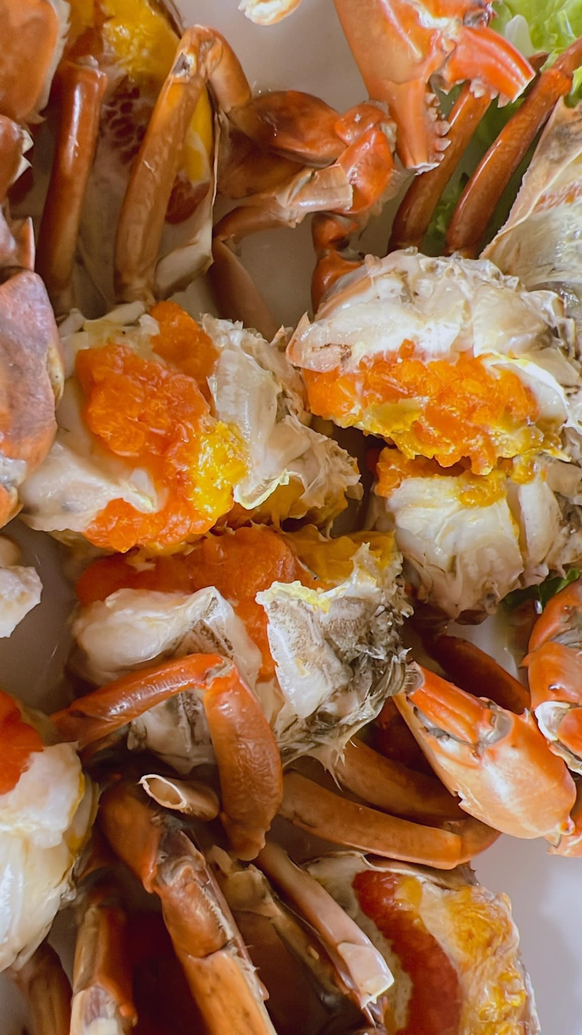 บ้านโพธิ์ริเวอร์ไซด์, ร้านอาหารมธุรสเรือนแพ, Baan Melon Desert, ร้านบ้านเบญฯ, บ้านปูกรรเชียง, ร้านกุ้งนาง, ร้านชวนมา ริมแม่น้ำบางปะกง, ครัวแม่ส้มเกลี้ยง, ครัวปลาเถื่อน, แพเคียงน้ำ, ลุงตีฟและยาย, รวยเรือนแพ, เอกเขนก, ชัยครับ, แพพยงค์ ริมน้ำ, 111/11 บ้านริมคลอง, มีน้ำ มีปลา cafe&amp;restaurant