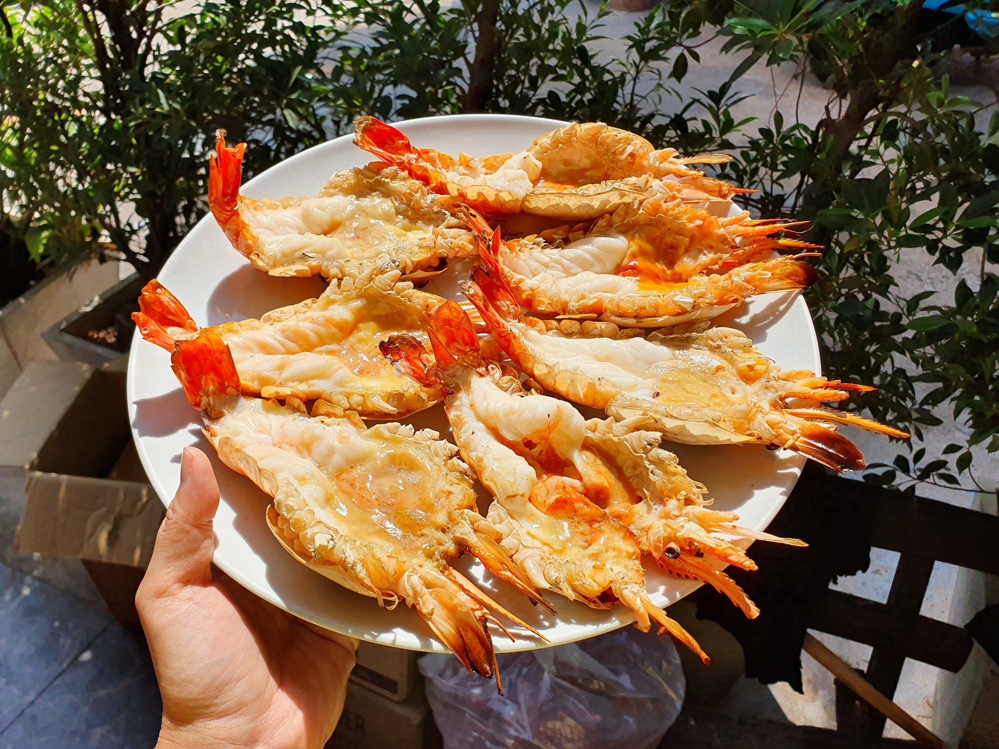 บ้านโพธิ์ริเวอร์ไซด์, ร้านอาหารมธุรสเรือนแพ, Baan Melon Desert, ร้านบ้านเบญฯ, บ้านปูกรรเชียง, ร้านกุ้งนาง, ร้านชวนมา ริมแม่น้ำบางปะกง, ครัวแม่ส้มเกลี้ยง, ครัวปลาเถื่อน, แพเคียงน้ำ, ลุงตีฟและยาย, รวยเรือนแพ, เอกเขนก, ชัยครับ, แพพยงค์ ริมน้ำ, 111/11 บ้านริมคลอง, มีน้ำ มีปลา cafe&amp;restaurant