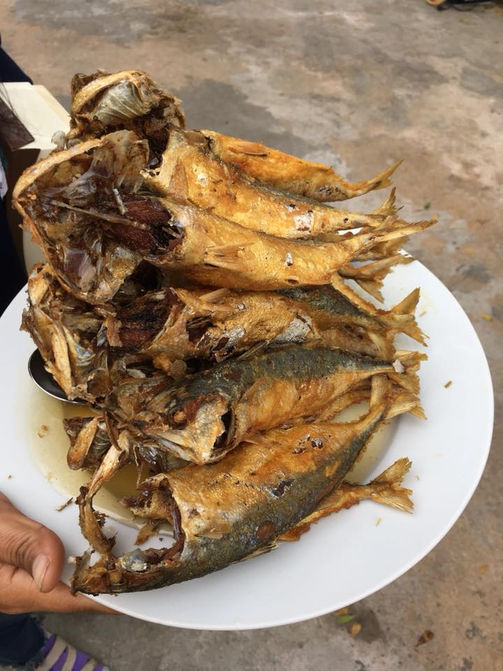 บ้านโพธิ์ริเวอร์ไซด์, ร้านอาหารมธุรสเรือนแพ, Baan Melon Desert, ร้านบ้านเบญฯ, บ้านปูกรรเชียง, ร้านกุ้งนาง, ร้านชวนมา ริมแม่น้ำบางปะกง, ครัวแม่ส้มเกลี้ยง, ครัวปลาเถื่อน, แพเคียงน้ำ, ลุงตีฟและยาย, รวยเรือนแพ, เอกเขนก, ชัยครับ, แพพยงค์ ริมน้ำ, 111/11 บ้านริมคลอง, มีน้ำ มีปลา cafe&amp;restaurant