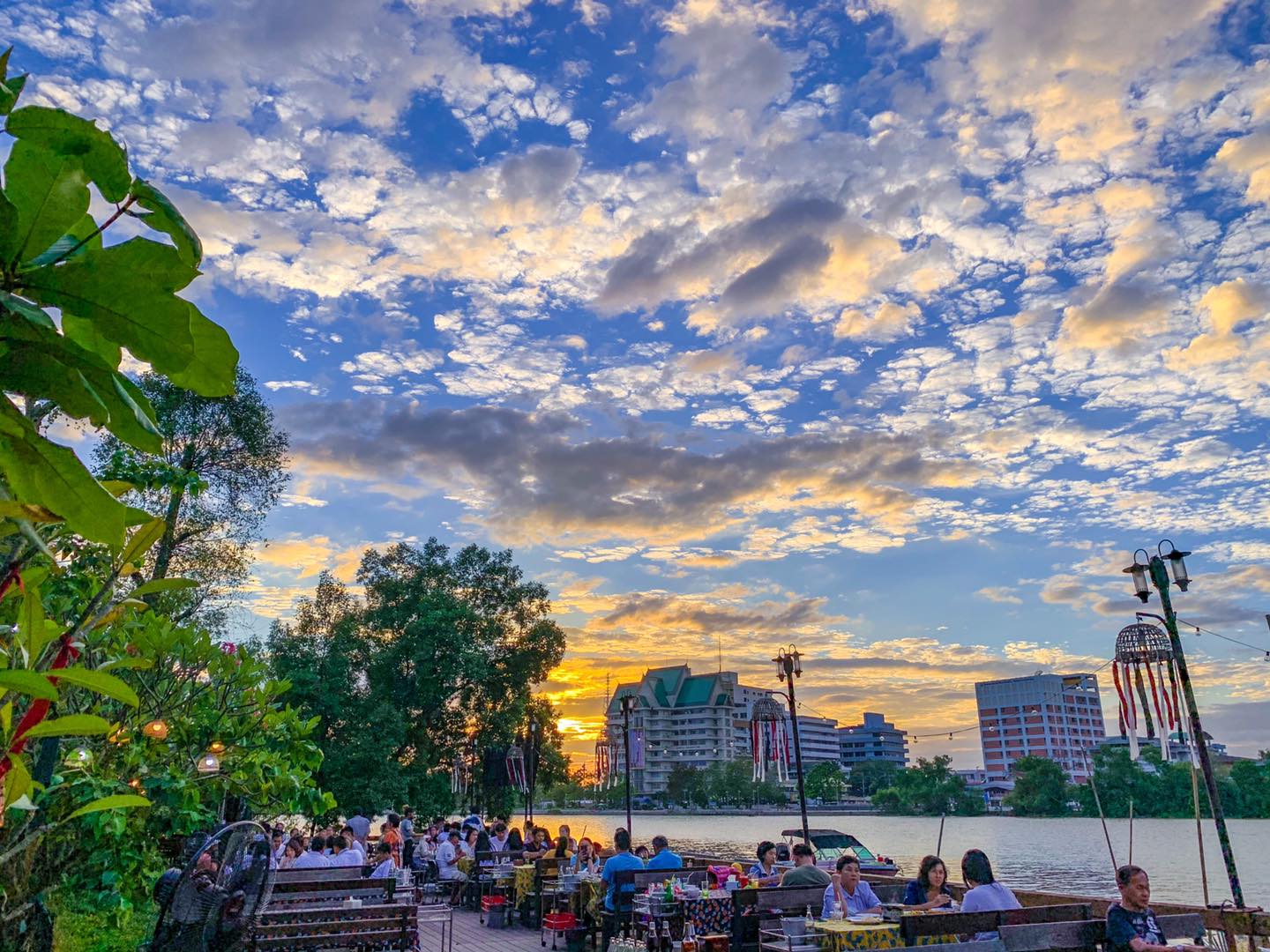 บ้านโพธิ์ริเวอร์ไซด์, ร้านอาหารมธุรสเรือนแพ, Baan Melon Desert, ร้านบ้านเบญฯ, บ้านปูกรรเชียง, ร้านกุ้งนาง, ร้านชวนมา ริมแม่น้ำบางปะกง, ครัวแม่ส้มเกลี้ยง, ครัวปลาเถื่อน, แพเคียงน้ำ, ลุงตีฟและยาย, รวยเรือนแพ, เอกเขนก, ชัยครับ, แพพยงค์ ริมน้ำ, 111/11 บ้านริมคลอง, มีน้ำ มีปลา cafe&amp;restaurant