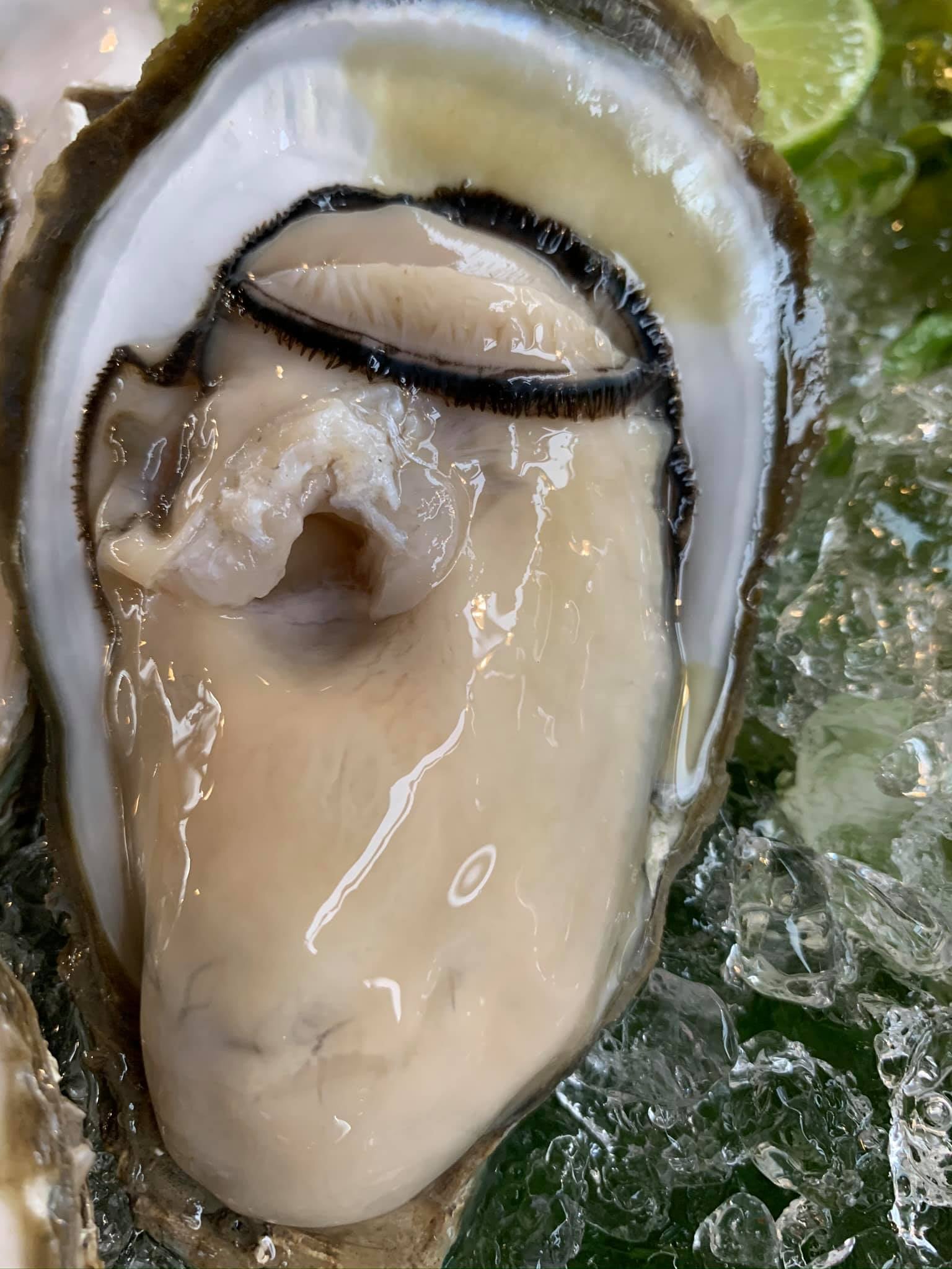 บ้านโพธิ์ริเวอร์ไซด์, ร้านอาหารมธุรสเรือนแพ, Baan Melon Desert, ร้านบ้านเบญฯ, บ้านปูกรรเชียง, ร้านกุ้งนาง, ร้านชวนมา ริมแม่น้ำบางปะกง, ครัวแม่ส้มเกลี้ยง, ครัวปลาเถื่อน, แพเคียงน้ำ, ลุงตีฟและยาย, รวยเรือนแพ, เอกเขนก, ชัยครับ, แพพยงค์ ริมน้ำ, 111/11 บ้านริมคลอง, มีน้ำ มีปลา cafe&amp;restaurant