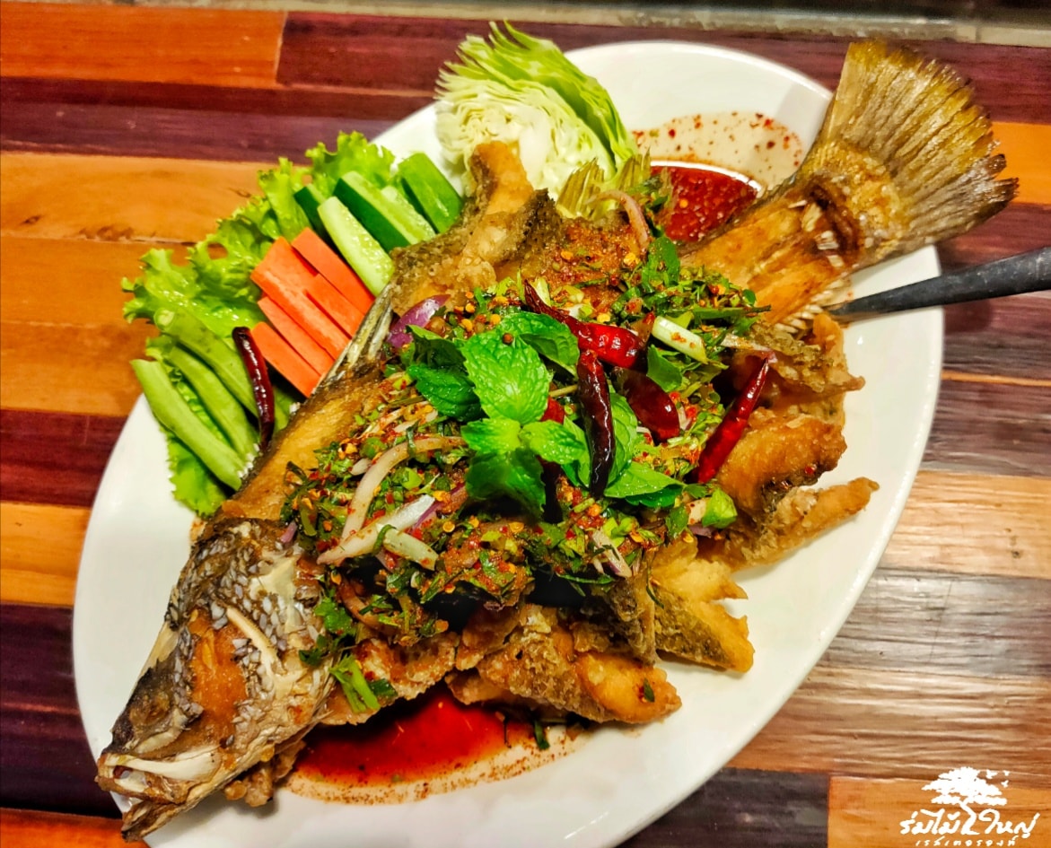 ฮอม Hom 2493, บ้านม่อนนกยูง, Kim's Cafe', ครัวจิ้นสด อาหารพื้นเมือง, ปั๋นใจ๋, สวนไซทอง ไส้กรอกเผาเตาดิน, ป้าแป้งเย็นตาโฟ ประตูชัย, ฮักเส้น ก๋วยเตี๋ยวต้มยำเมืองแพร่, ขนมเส้นน้ำย้อย กาดน้ำทอง -โจหยก, วีวี่ (weewee food and catering), ข้าวซอยเจ้เล็กประตูชัย แพร่, ร้านลาบป้ามา, ร่มไม้ใหญ่ เรสเตอรองท์, ร้านจิ้นนึ่งแม่หล่าย