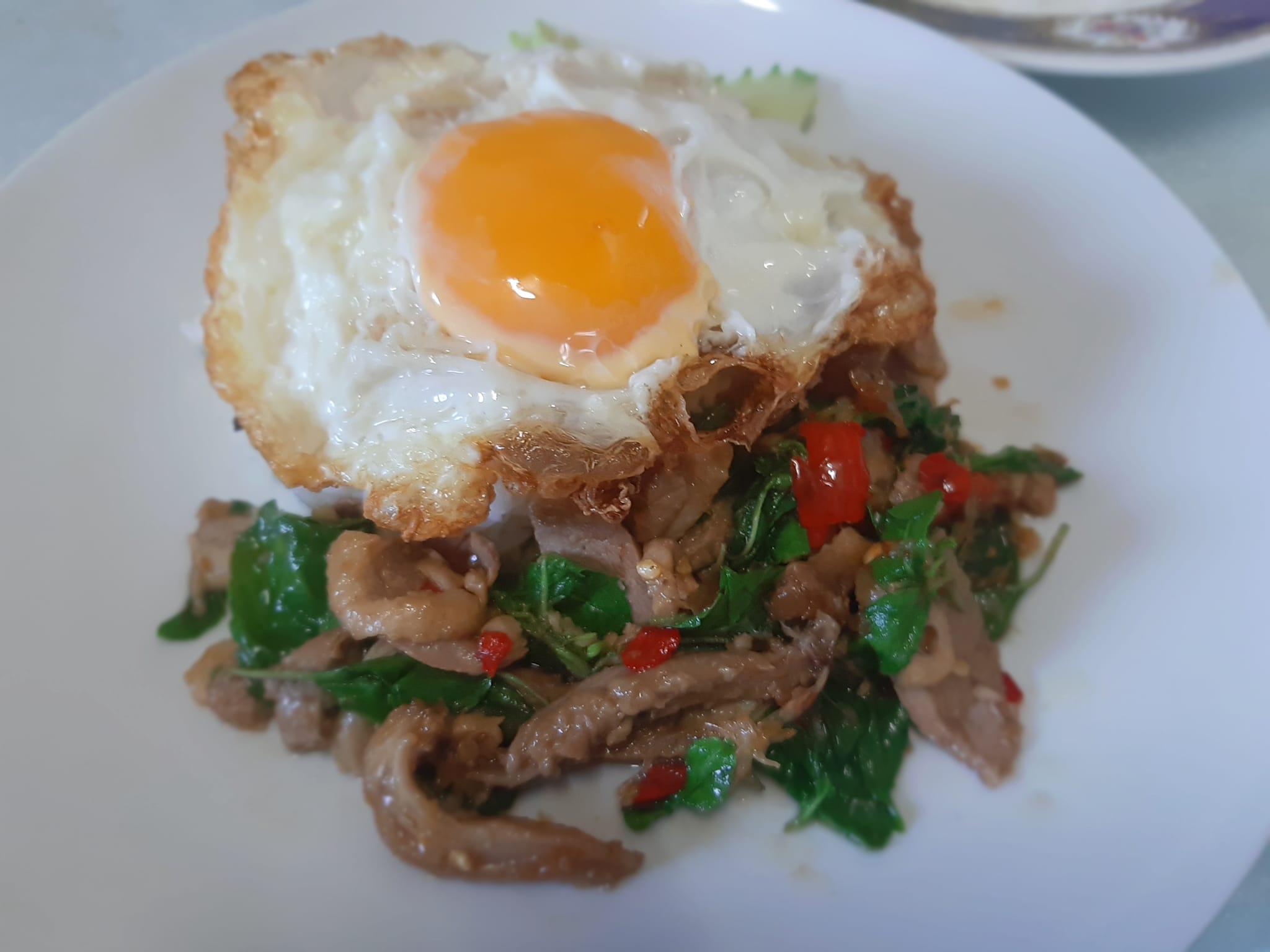 ร้านข้าวมันไก่เจี๊ยะโกยปึ่ง, รสนิยมข้าวมันไก่, สาขา 2, โจ๊ก9บาท ป๊อกแป๊ก, ครัวกิตติพร, ขาหมู จูเจี่ยว 猪脚, ต้มเลือดหมู เลิศสุธารส, บ.หินกองต้มเลือดหมู&amp;กะเพราเป็ด, บ้านซาลาเปา สระบุรี, ญวน, ราดหน้าเลี่ยวตังไล้, โกจิวข้าวมันไก่ตอน, E-PED eatery, Pita Cafe’ &amp; Eatery, เอกรส, ข้าวแกงครัวไทย ป้าเบี้ยว-ลุงเปี๊ยก, โจ๊กแม่กุหลาบ &amp; ก๋วยเตี๋ยวเนื้อวัวนายเฮง