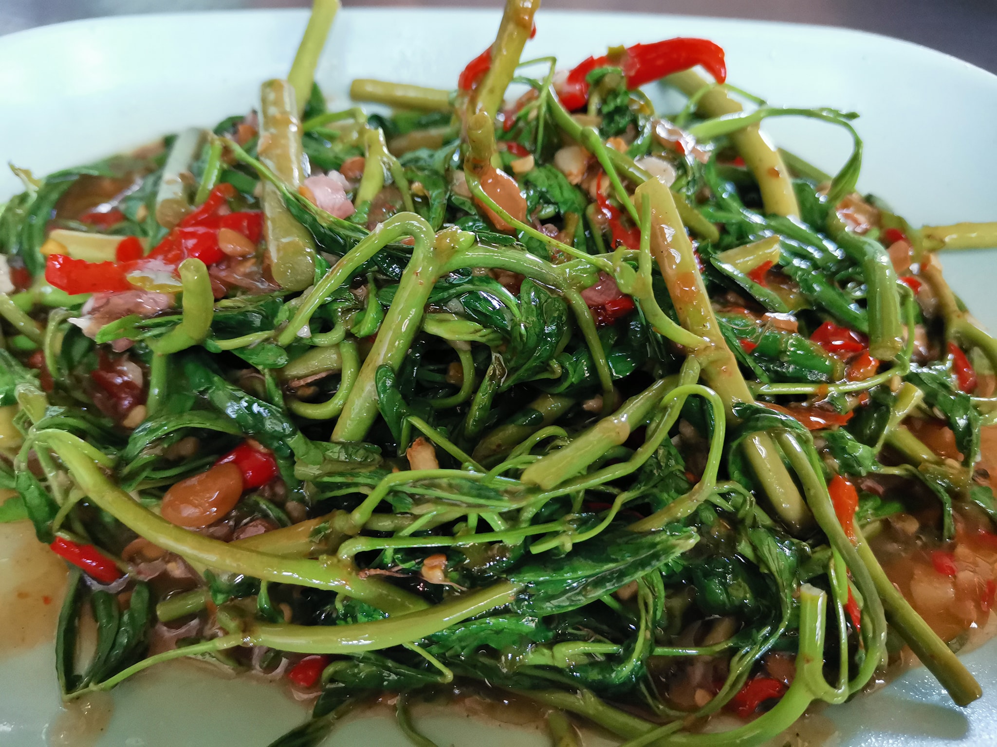 ข้าวต้มปลา 164, สาขาพัทยา, ข้าวต้มกุ๊ย ปาหนัน สูตรต้นตำรับ สาขาพัทยา , ข้าวต้มปลาเจ้าเก่า ลานโพธิ์เดิม, เจ๊นงค์ ข้าวต้มบาทเดียว พัทยา, ข้าวต้มป้าเล็กโต้รุ่ง, ราชาข้าวต้มผักบุ้งลอยฟ้า พัทยากลาง, ป.อยู่เย็นรสเด่น พัทยา, ข้าวต้มปลาปัญญาชน, สาขาพัทยากลางสาย 3, ราชาข้าวต้มผักบุ้งลอยฟ้า, สาขาพัทยาสาย 3, ข้าวต้มหนุ่ม พัทยา, ตี๋เล็ก ข้าวต้มปลา, ข้าวต้มปลาแป๊ะจั๊ว, ร้านข้าวต้มประจันบาน, ข้าวต้มโชคอนันต์