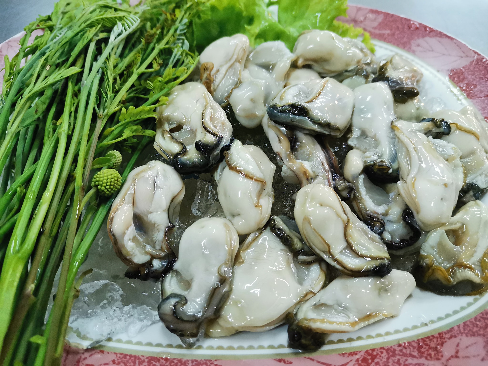 ข้าวต้มปลา 164, สาขาพัทยา, ข้าวต้มกุ๊ย ปาหนัน สูตรต้นตำรับ สาขาพัทยา , ข้าวต้มปลาเจ้าเก่า ลานโพธิ์เดิม, เจ๊นงค์ ข้าวต้มบาทเดียว พัทยา, ข้าวต้มป้าเล็กโต้รุ่ง, ราชาข้าวต้มผักบุ้งลอยฟ้า พัทยากลาง, ป.อยู่เย็นรสเด่น พัทยา, ข้าวต้มปลาปัญญาชน, สาขาพัทยากลางสาย 3, ราชาข้าวต้มผักบุ้งลอยฟ้า, สาขาพัทยาสาย 3, ข้าวต้มหนุ่ม พัทยา, ตี๋เล็ก ข้าวต้มปลา, ข้าวต้มปลาแป๊ะจั๊ว, ร้านข้าวต้มประจันบาน, ข้าวต้มโชคอนันต์