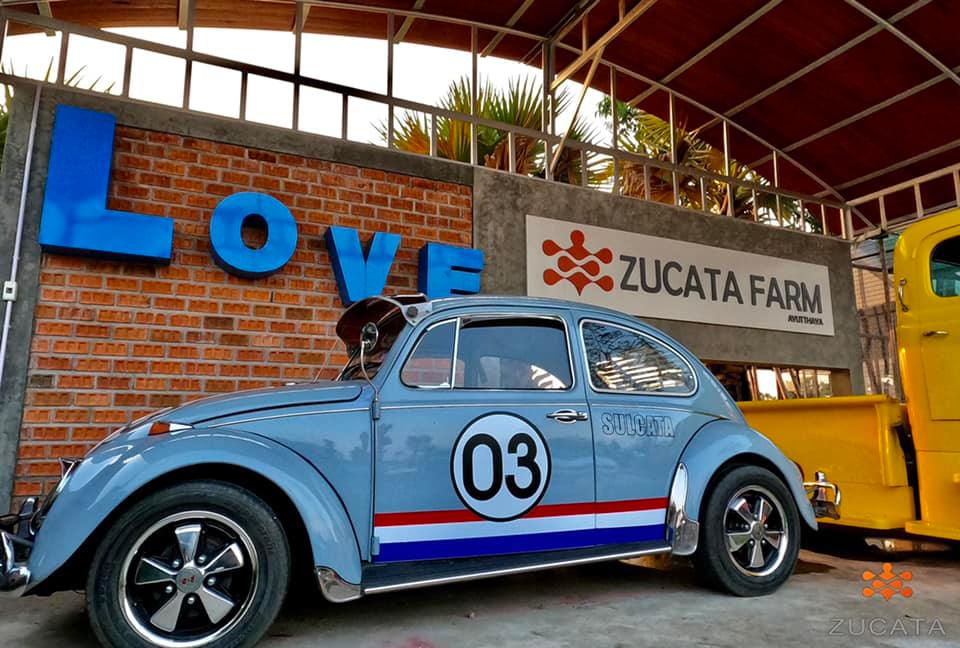 Space bar slow coffee, ree.kyus, PREME Cafe &amp; Playground, Zucata Cafe', รักษ์บางปะอินคาเฟ่, Pino Cafe' บางปะอิน, PASTRY ARCHITECT, น้ำท่า cafe-coffee house, Cafe' de Zia