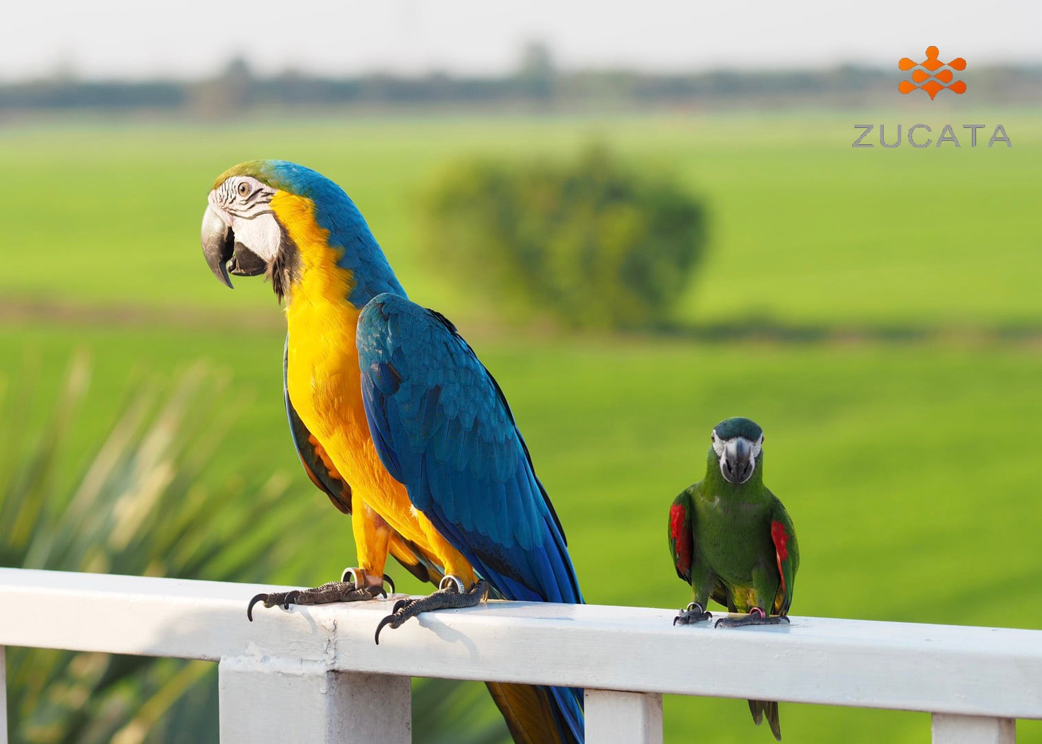 Space bar slow coffee, ree.kyus, PREME Cafe &amp; Playground, Zucata Cafe', รักษ์บางปะอินคาเฟ่, Pino Cafe' บางปะอิน, PASTRY ARCHITECT, น้ำท่า cafe-coffee house, Cafe' de Zia