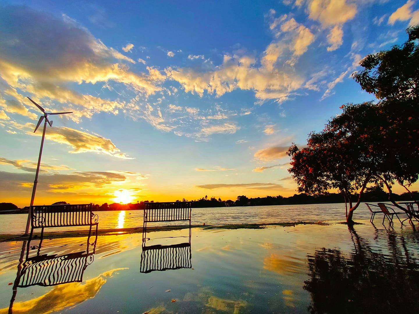 Space bar slow coffee, ree.kyus, PREME Cafe &amp; Playground, Zucata Cafe', รักษ์บางปะอินคาเฟ่, Pino Cafe' บางปะอิน, PASTRY ARCHITECT, น้ำท่า cafe-coffee house, Cafe' de Zia