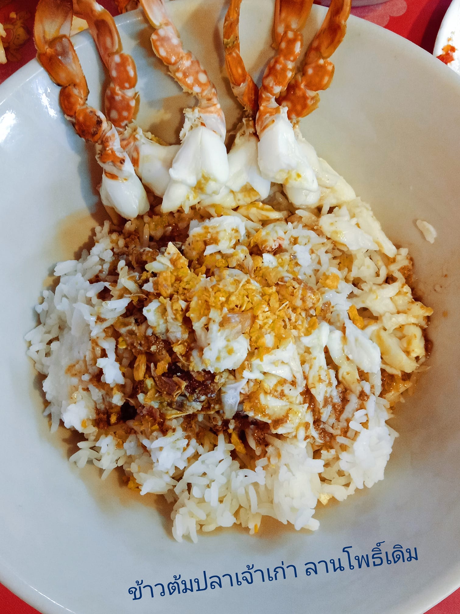 ข้าวต้มปลา 164, สาขาพัทยา, ข้าวต้มกุ๊ย ปาหนัน สูตรต้นตำรับ สาขาพัทยา , ข้าวต้มปลาเจ้าเก่า ลานโพธิ์เดิม, เจ๊นงค์ ข้าวต้มบาทเดียว พัทยา, ข้าวต้มป้าเล็กโต้รุ่ง, ราชาข้าวต้มผักบุ้งลอยฟ้า พัทยากลาง, ป.อยู่เย็นรสเด่น พัทยา, ข้าวต้มปลาปัญญาชน, สาขาพัทยากลางสาย 3, ราชาข้าวต้มผักบุ้งลอยฟ้า, สาขาพัทยาสาย 3, ข้าวต้มหนุ่ม พัทยา, ตี๋เล็ก ข้าวต้มปลา, ข้าวต้มปลาแป๊ะจั๊ว, ร้านข้าวต้มประจันบาน, ข้าวต้มโชคอนันต์