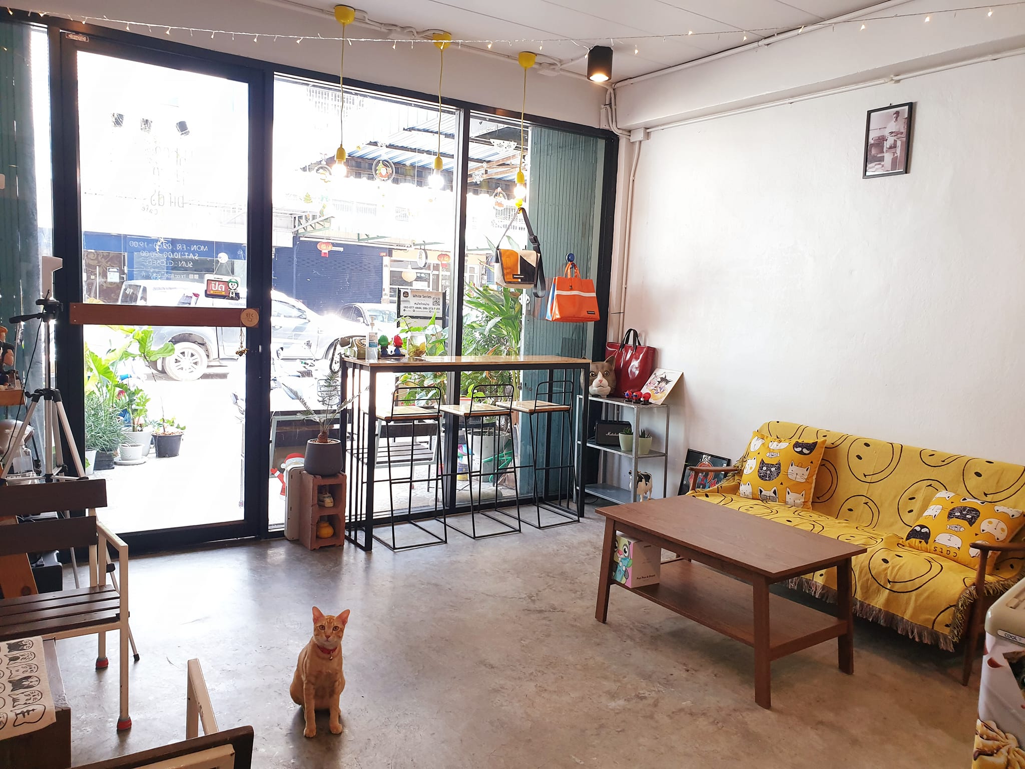 Flinders Street Cafe, Simplycafebkk, Neighbor cats koff bar, Bunnierista, Blend cafe, Hatchery, SEVENDAYS cafe & bakehouse, Smith & Rabbit Cuisine