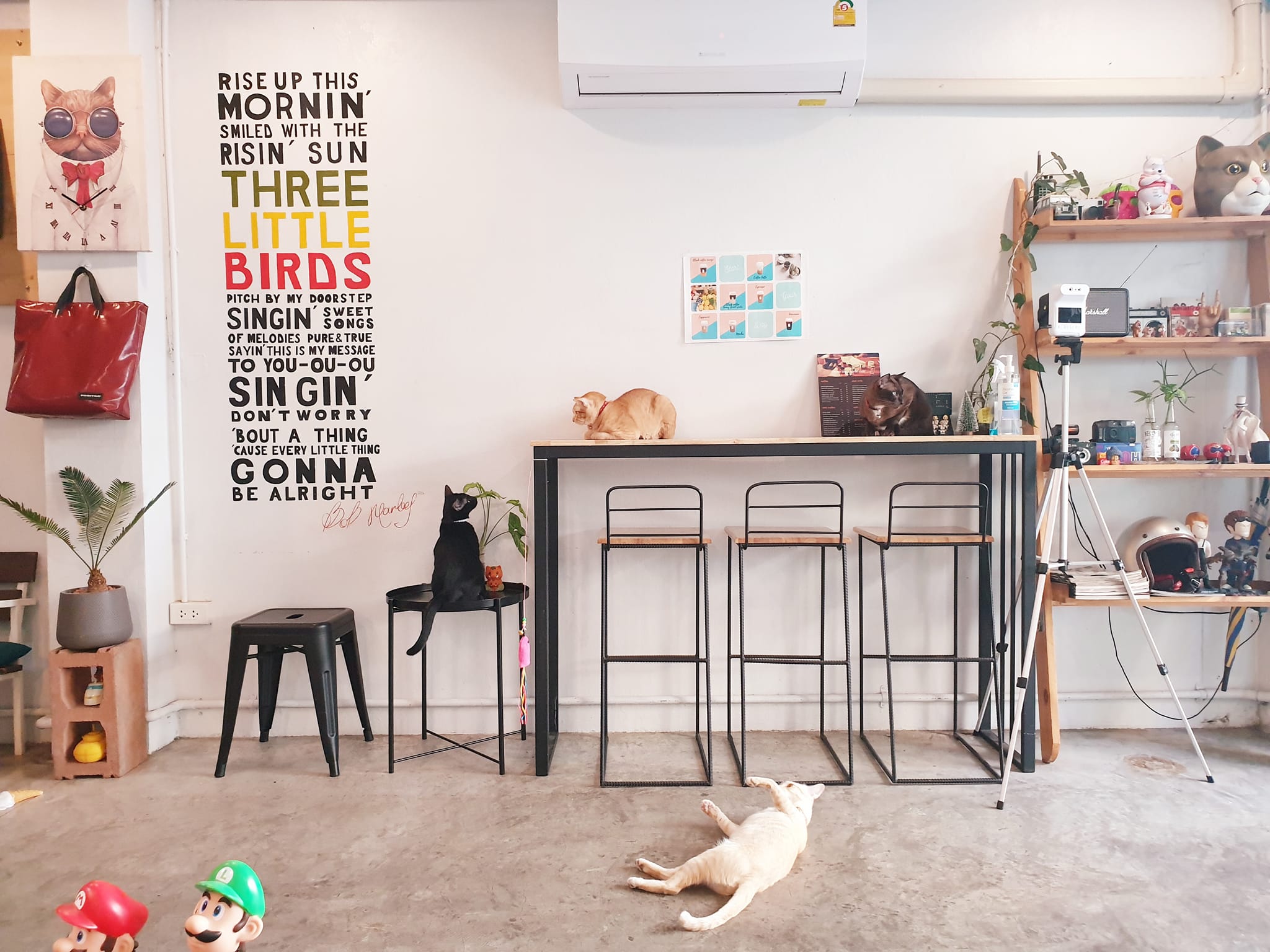 Flinders Street Cafe, Simplycafebkk, Neighbor cats koff bar, Bunnierista, Blend cafe, Hatchery, SEVENDAYS cafe & bakehouse, Smith & Rabbit Cuisine