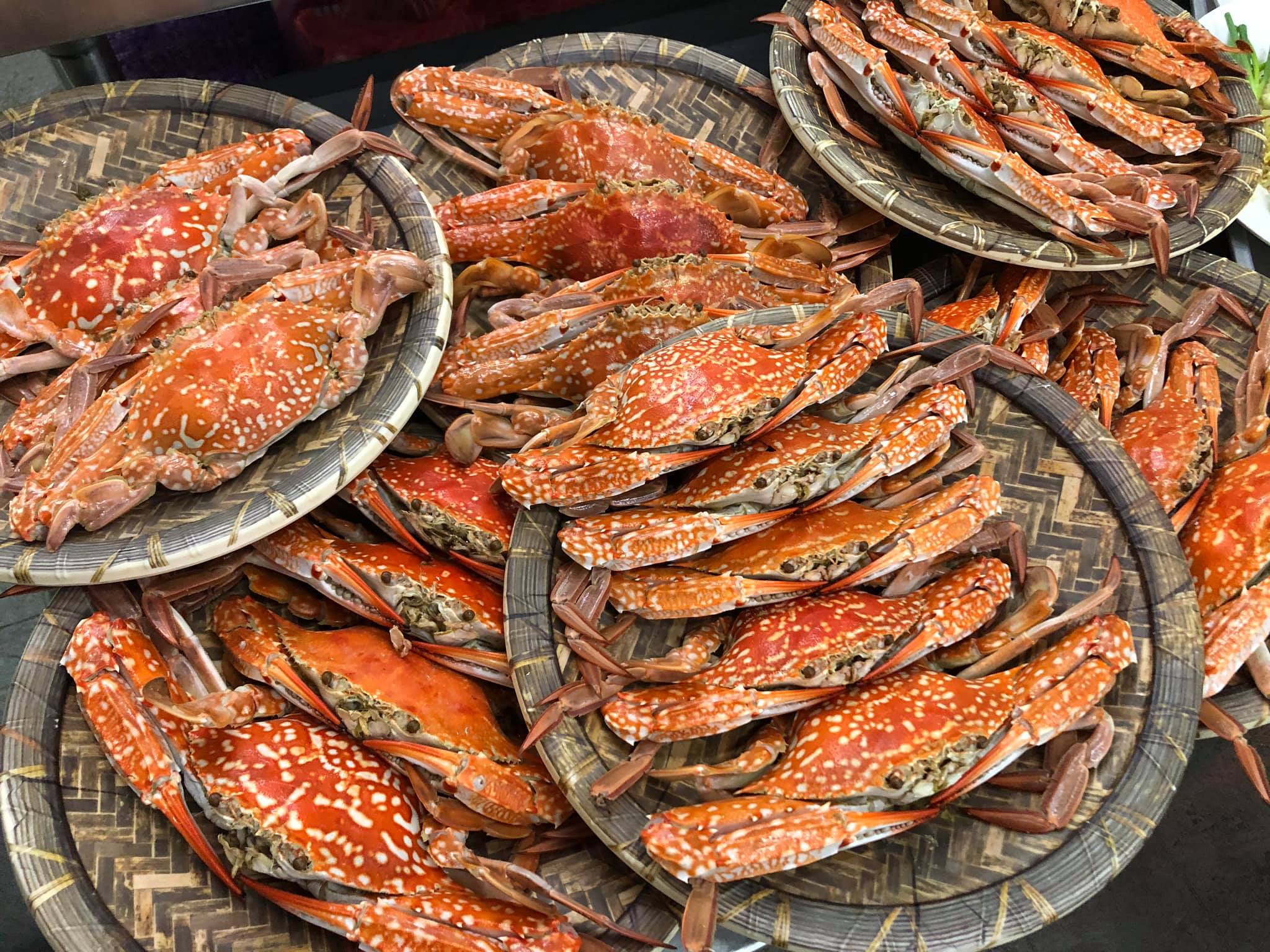 ปูเป็น SEAFOOD PATTAYA, ริมหาด ซีฟู๊ด, ลุงบอยป้ารัตน์, สาขาหาดจอมเทียน, Krua Dongtan ครัวดงตาล, ลุงไสว 1 สุดหาดจอมเทียน พัทยา, ศรีนวลซีฟู้ด, สุดเขต ทะเลเผา