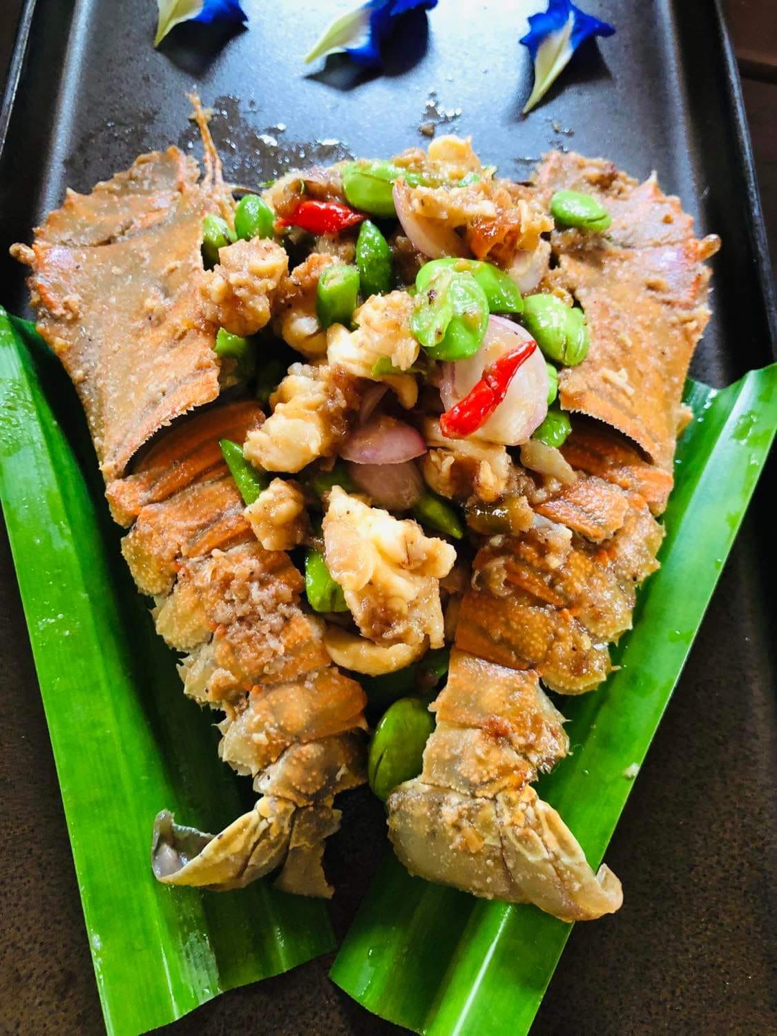 บ้านสวนลุงไข่, พี่เชษฐ์, Sawasdee-CuP Samui, ร้านอาหารข้าวหอม เกาะสมุย, ครัวชาวบ้าน, ท่าเรือสมุยซีฟู้ด, เสบียงเล, Mira Serene, โกเซ้ง เกาะสมุย, ครัวเสวยสมุย, The Roof Samui, มิสสมุย, Jam restaurant