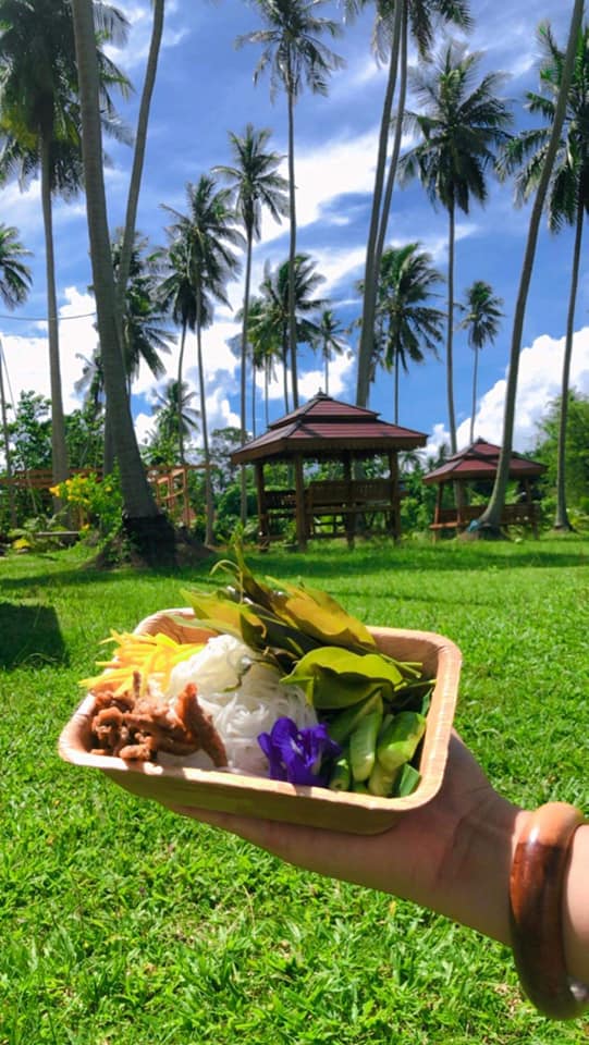 บ้านสวนลุงไข่, พี่เชษฐ์, Sawasdee-CuP Samui, ร้านอาหารข้าวหอม เกาะสมุย, ครัวชาวบ้าน, ท่าเรือสมุยซีฟู้ด, เสบียงเล, Mira Serene, โกเซ้ง เกาะสมุย, ครัวเสวยสมุย, The Roof Samui, มิสสมุย, Jam restaurant