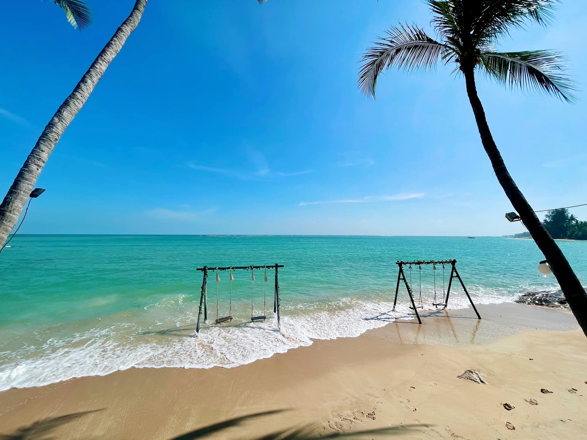 บ้านสวนลุงไข่, พี่เชษฐ์, Sawasdee-CuP Samui, ร้านอาหารข้าวหอม เกาะสมุย, ครัวชาวบ้าน, ท่าเรือสมุยซีฟู้ด, เสบียงเล, Mira Serene, โกเซ้ง เกาะสมุย, ครัวเสวยสมุย, The Roof Samui, มิสสมุย, Jam restaurant