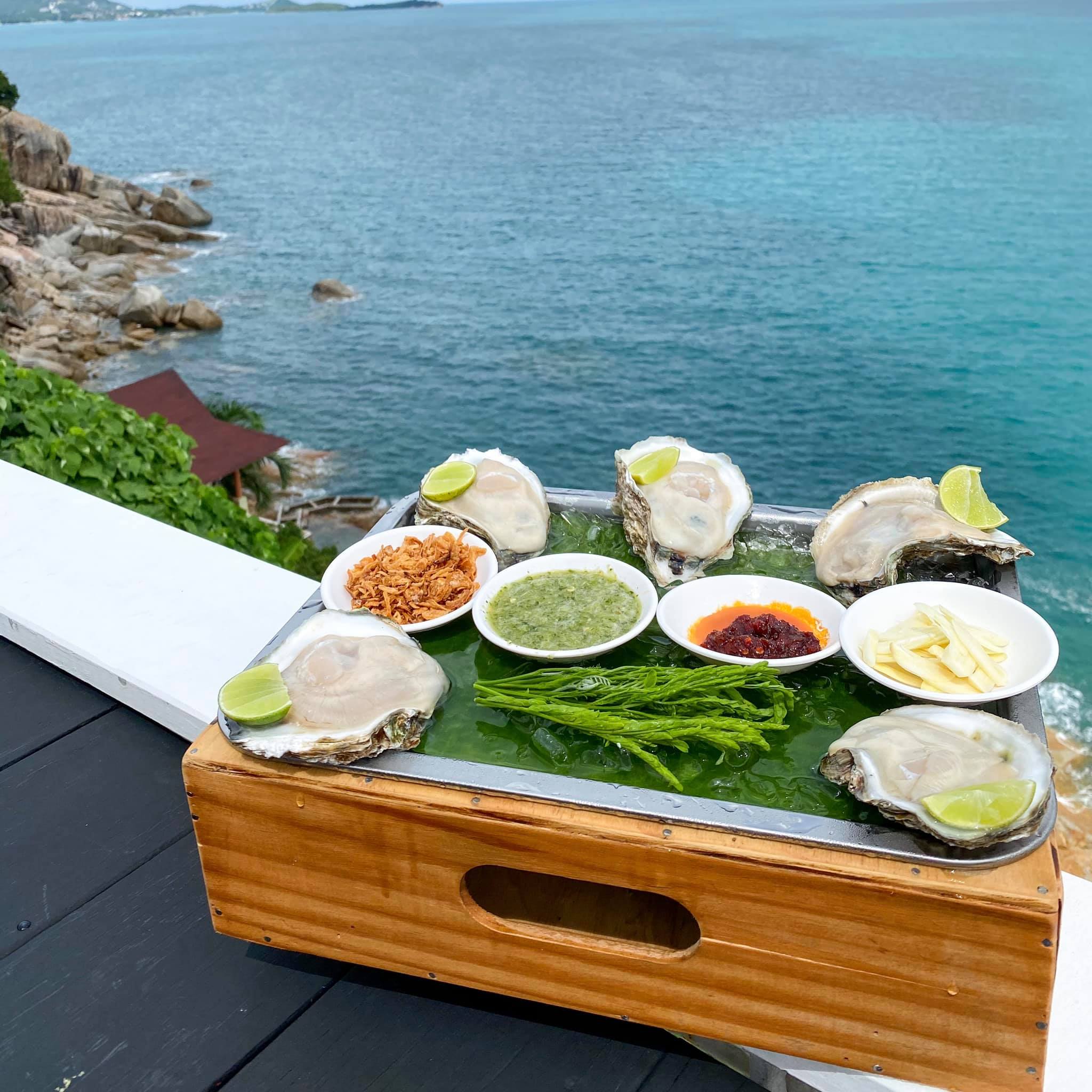 บ้านสวนลุงไข่, พี่เชษฐ์, Sawasdee-CuP Samui, ร้านอาหารข้าวหอม เกาะสมุย, ครัวชาวบ้าน, ท่าเรือสมุยซีฟู้ด, เสบียงเล, Mira Serene, โกเซ้ง เกาะสมุย, ครัวเสวยสมุย, The Roof Samui, มิสสมุย, Jam restaurant