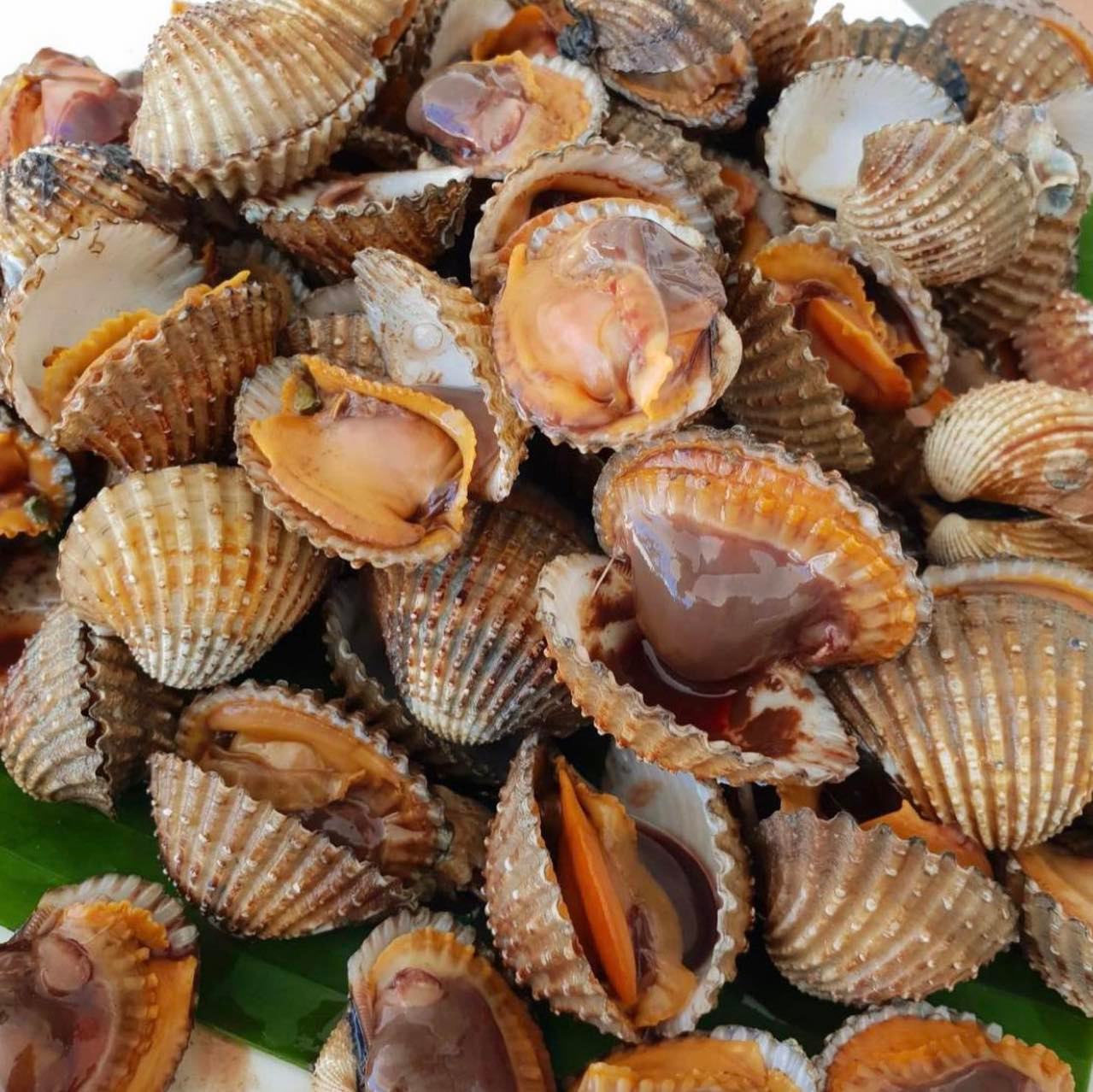 บ้านสวนลุงไข่, พี่เชษฐ์, Sawasdee-CuP Samui, ร้านอาหารข้าวหอม เกาะสมุย, ครัวชาวบ้าน, ท่าเรือสมุยซีฟู้ด, เสบียงเล, Mira Serene, โกเซ้ง เกาะสมุย, ครัวเสวยสมุย, The Roof Samui, มิสสมุย, Jam restaurant