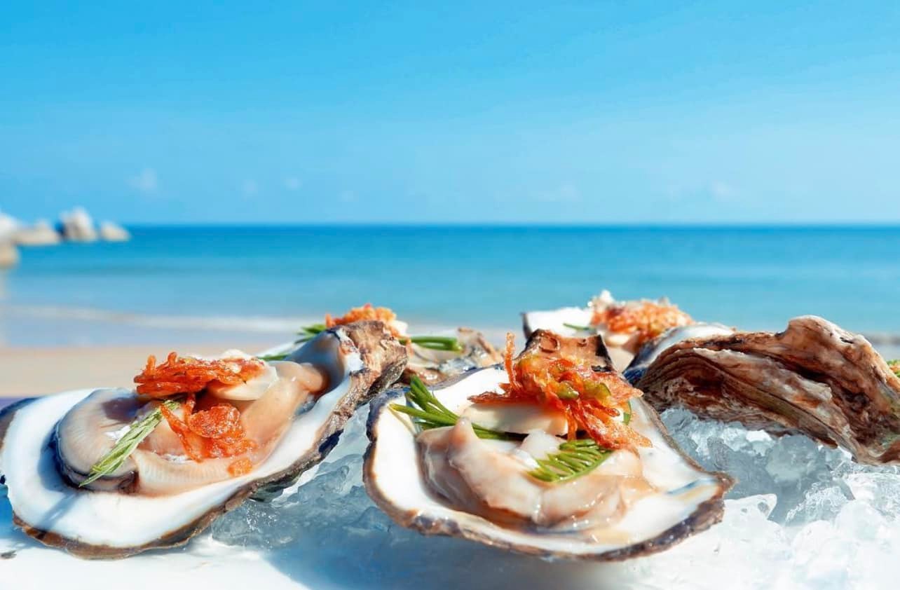 บ้านสวนลุงไข่, พี่เชษฐ์, Sawasdee-CuP Samui, ร้านอาหารข้าวหอม เกาะสมุย, ครัวชาวบ้าน, ท่าเรือสมุยซีฟู้ด, เสบียงเล, Mira Serene, โกเซ้ง เกาะสมุย, ครัวเสวยสมุย, The Roof Samui, มิสสมุย, Jam restaurant