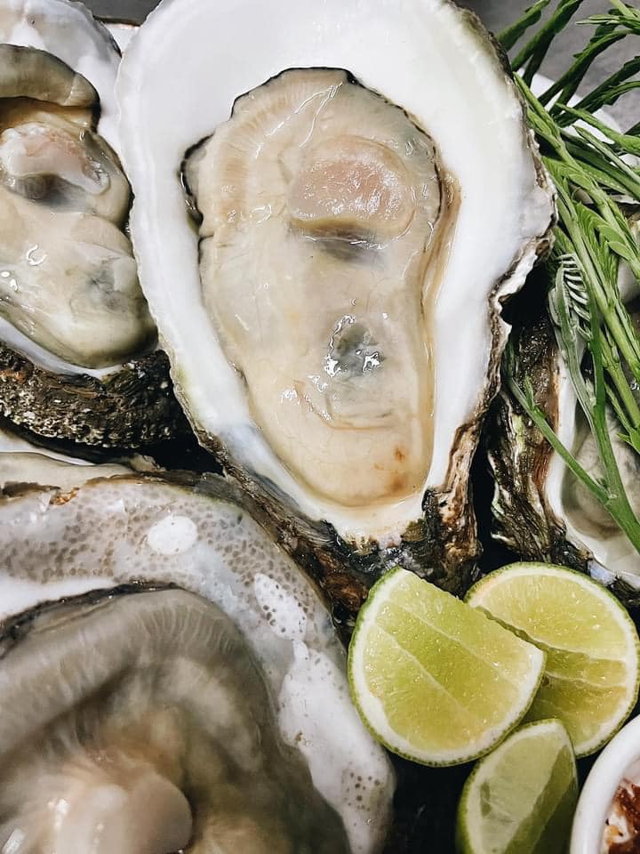 บ้านสวนลุงไข่, พี่เชษฐ์, Sawasdee-CuP Samui, ร้านอาหารข้าวหอม เกาะสมุย, ครัวชาวบ้าน, ท่าเรือสมุยซีฟู้ด, เสบียงเล, Mira Serene, โกเซ้ง เกาะสมุย, ครัวเสวยสมุย, The Roof Samui, มิสสมุย, Jam restaurant