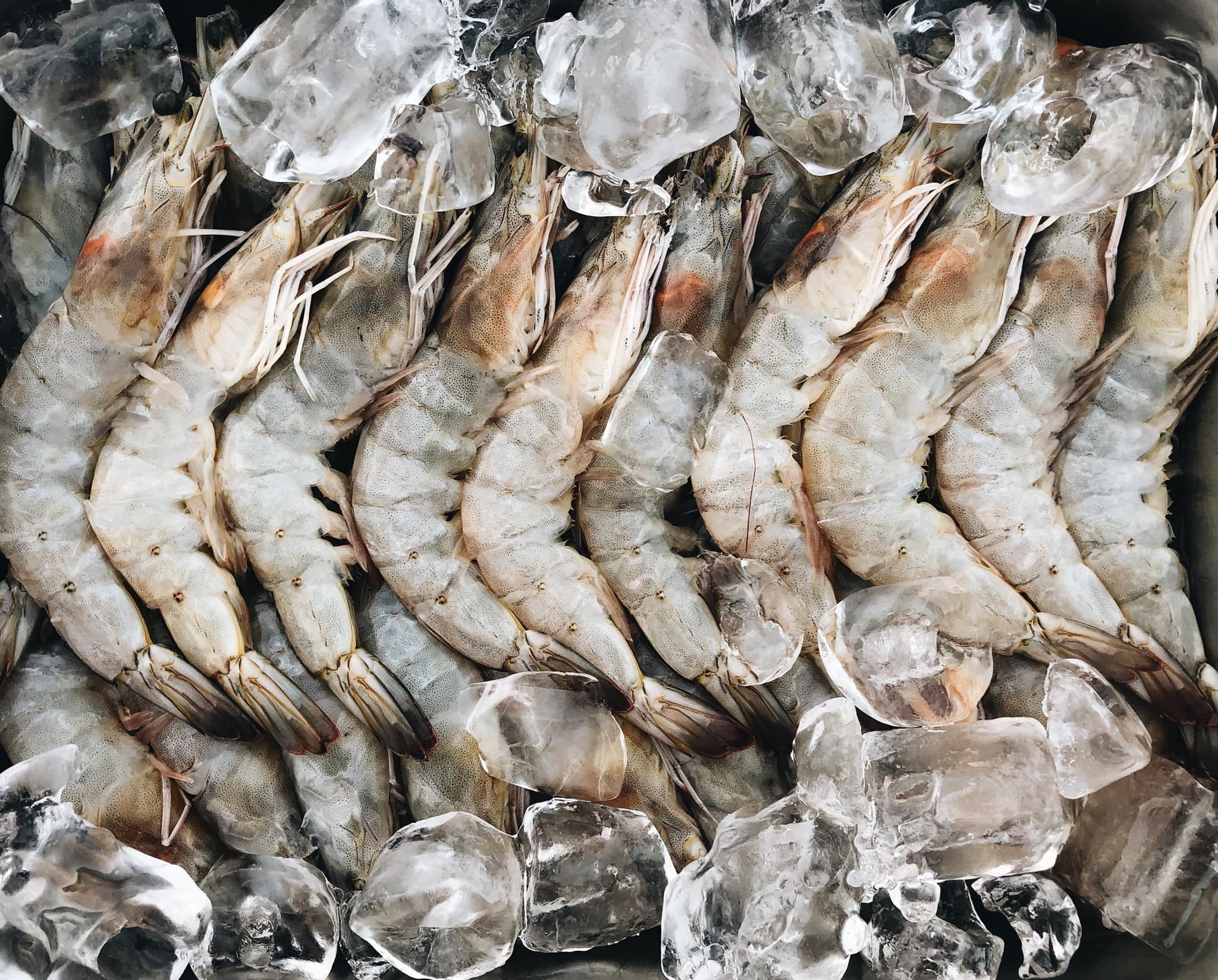 บ้านสวนลุงไข่, พี่เชษฐ์, Sawasdee-CuP Samui, ร้านอาหารข้าวหอม เกาะสมุย, ครัวชาวบ้าน, ท่าเรือสมุยซีฟู้ด, เสบียงเล, Mira Serene, โกเซ้ง เกาะสมุย, ครัวเสวยสมุย, The Roof Samui, มิสสมุย, Jam restaurant